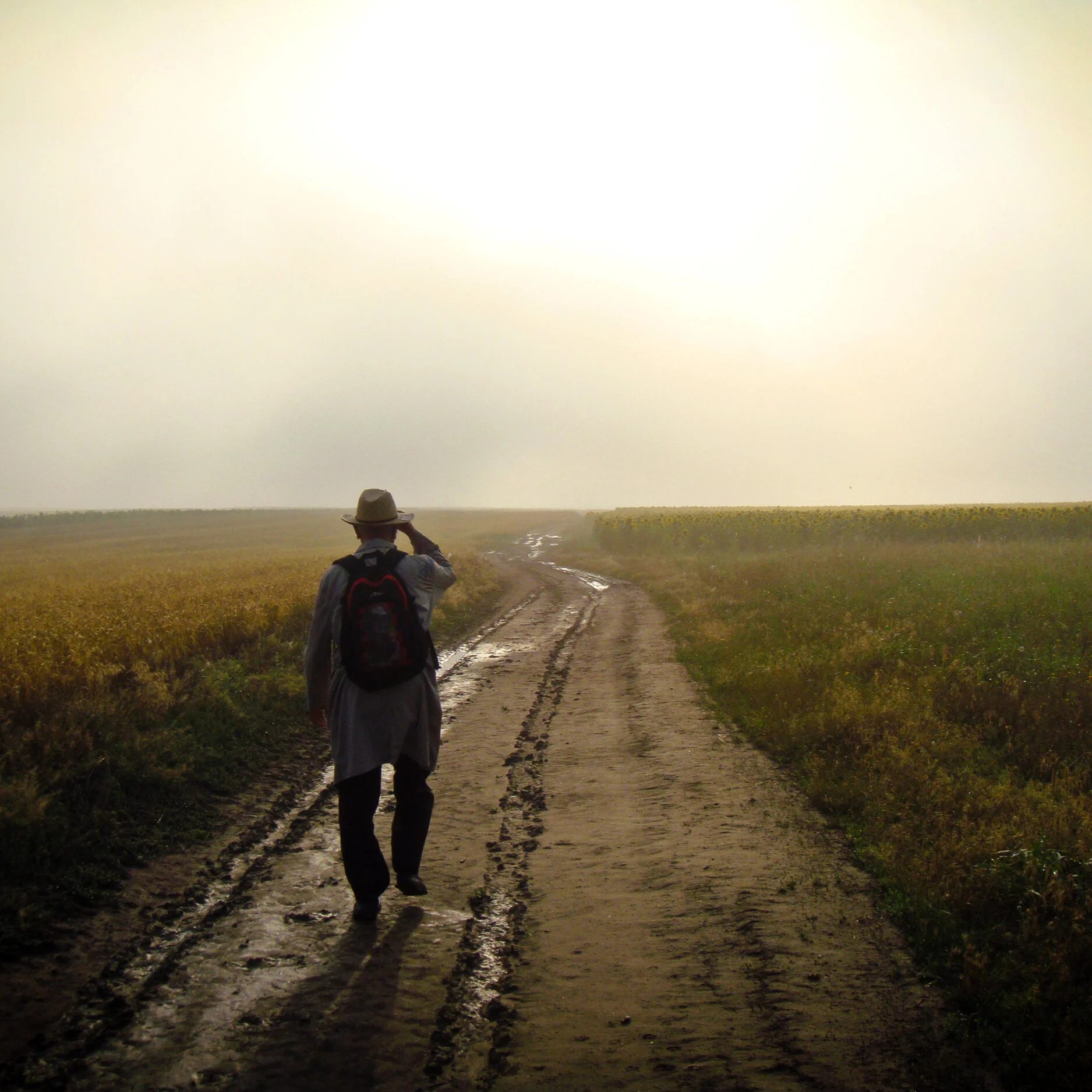 #162 | How do fundraising professionals make the best of difficult times?