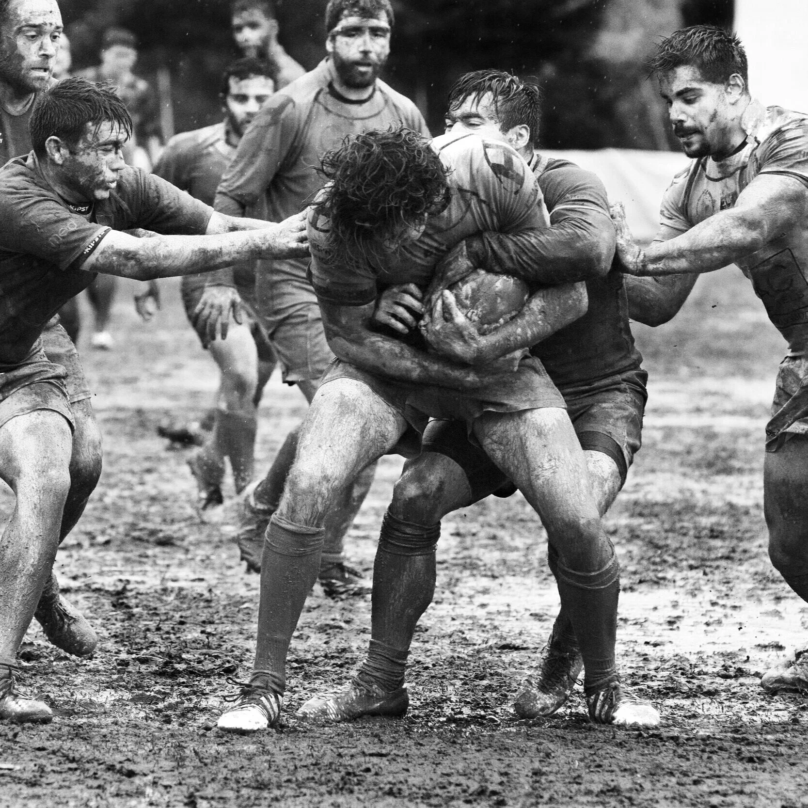 #184 | Why can't fundraising professionals just learn how to get along?