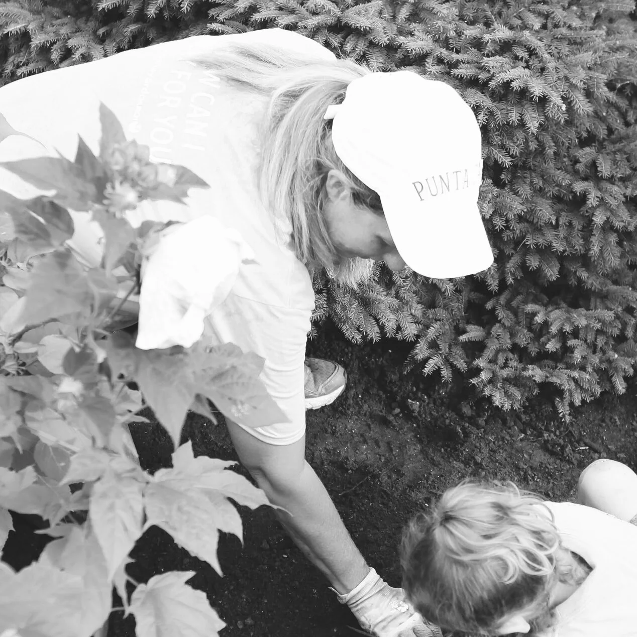 #187 | Are fundraising professionals forgetting about their volunteers?