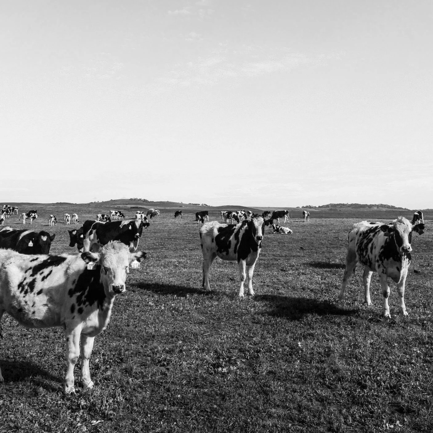 #194 | Will fundraising part ways with some of its sacred practices in order to be a truly inclusive endeavor?