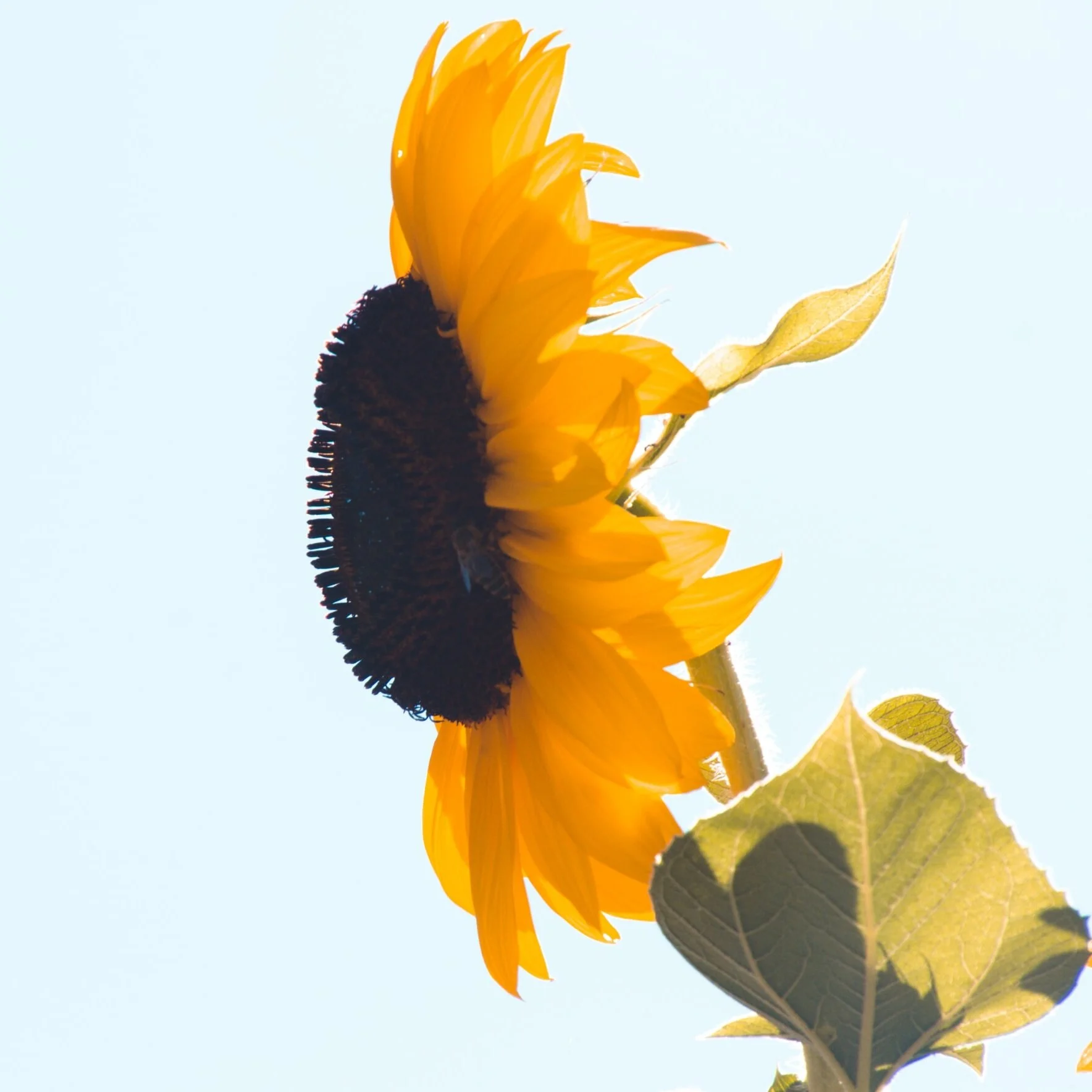 #202 | Will discernment be among the most desirable skills for future fundraising professionals?