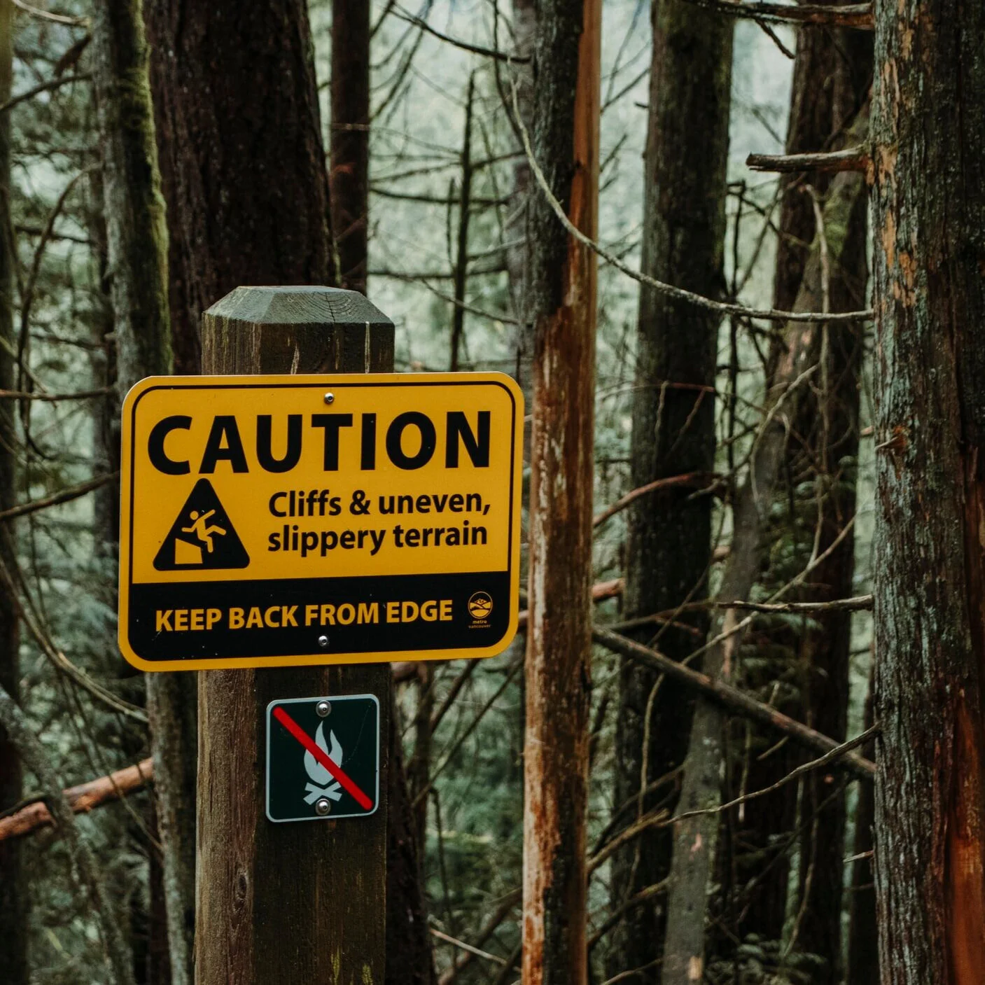 208 | Why is early specialization so dangerous for fundraising professionals?