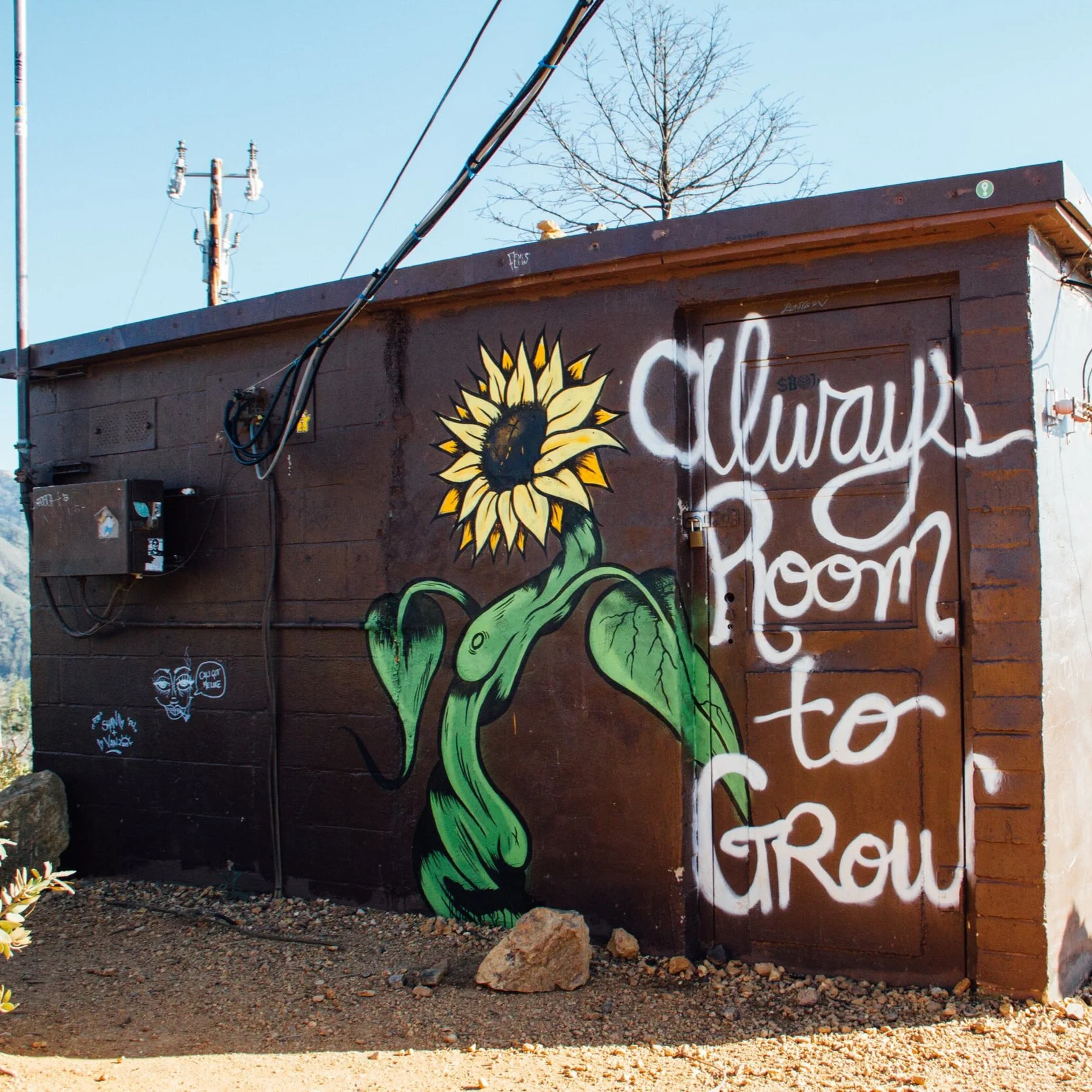 213 | How can fundraisers take their acknowledgement efforts to a whole new level?