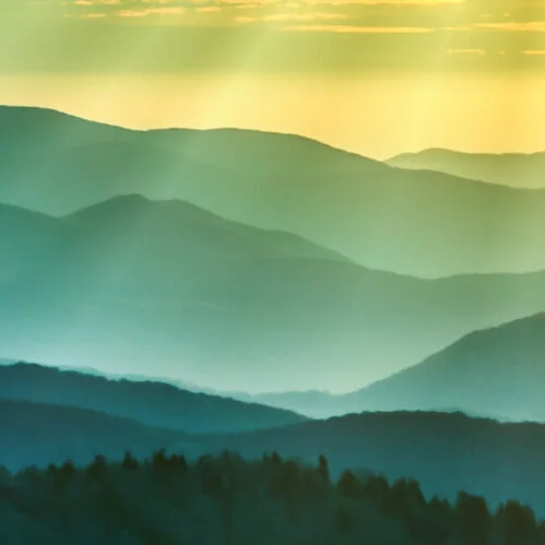 230 | What practices are fundraising leaders relying on to bring about sustainable change?