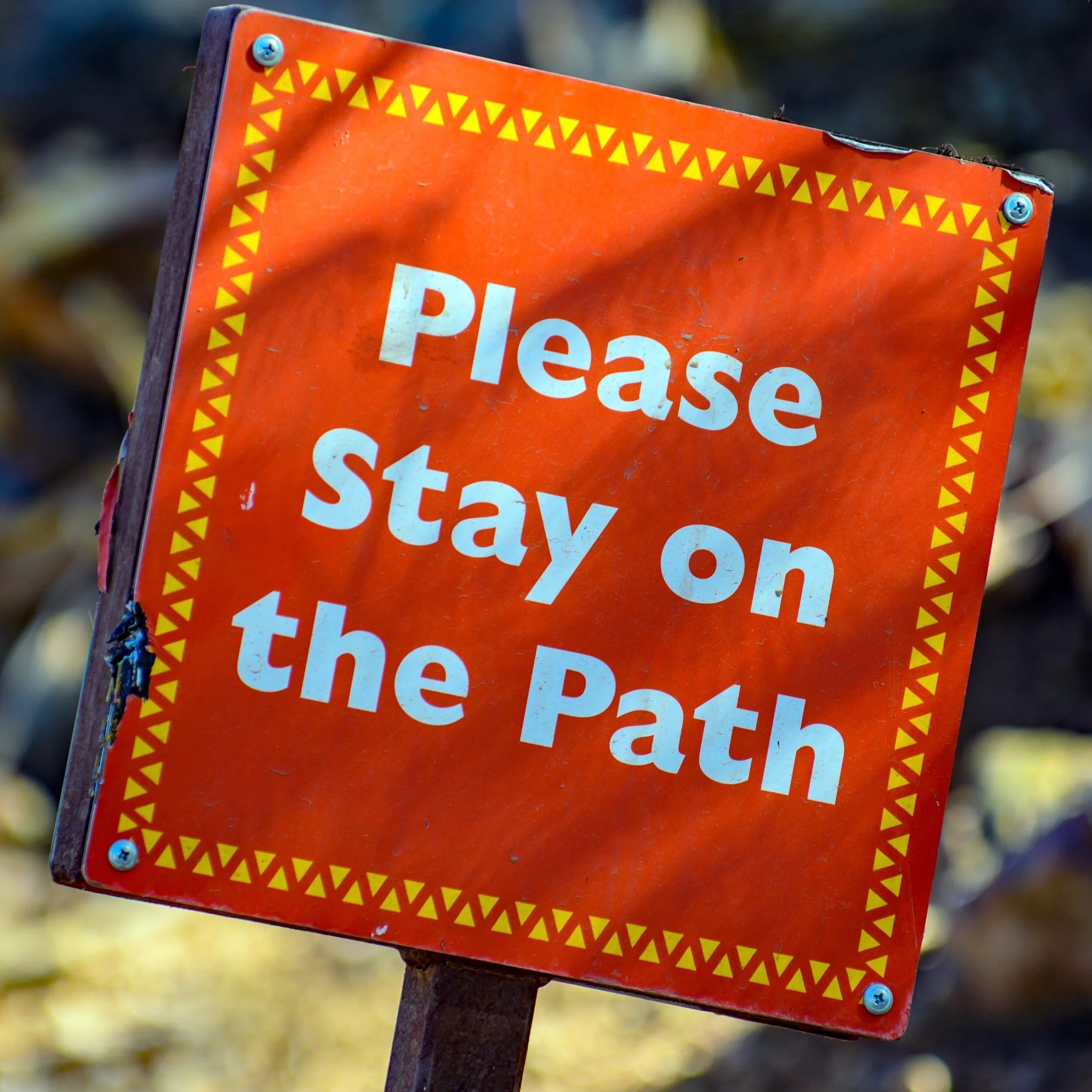 241 | Can fundraisers play a more radical role in the redistribution of money?