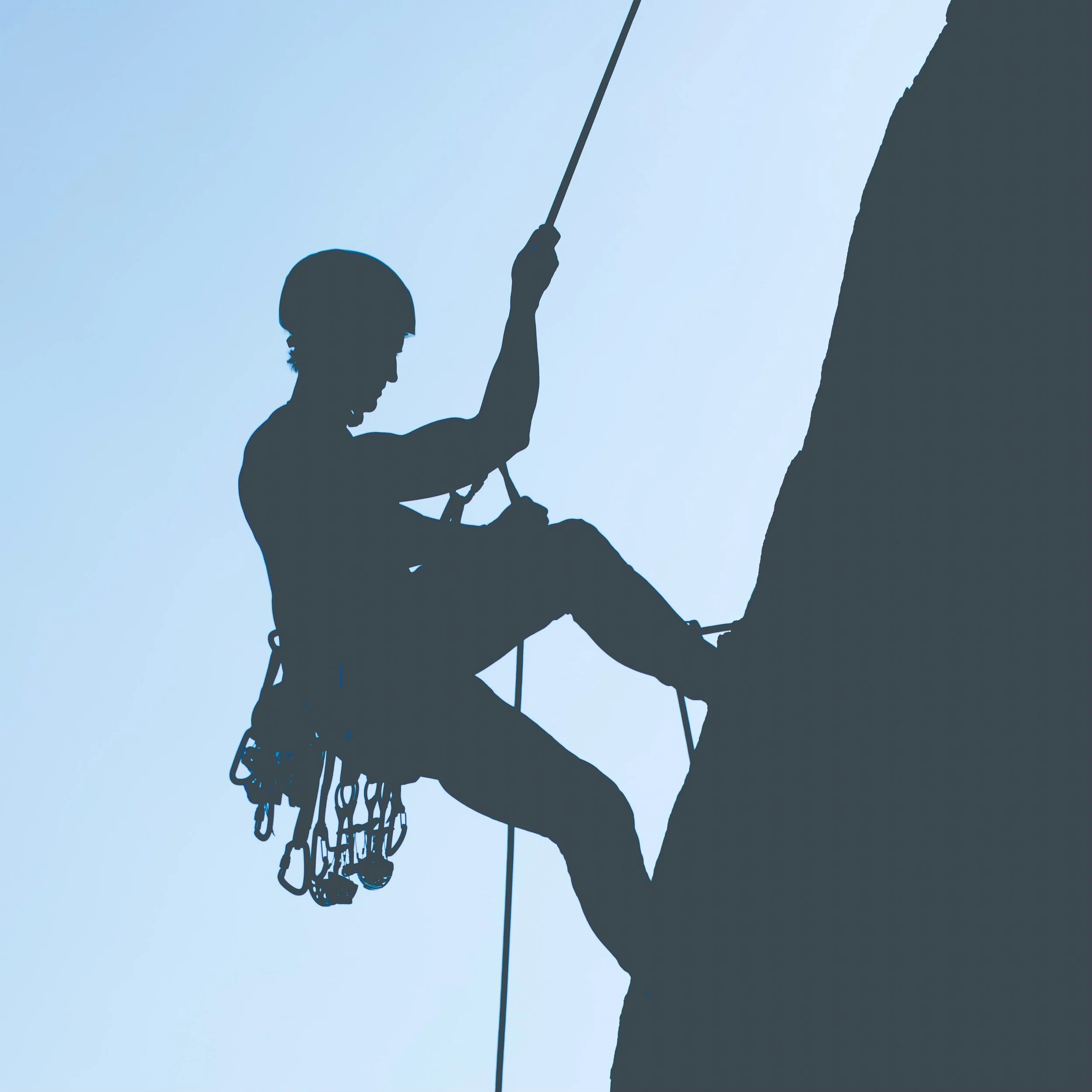 246 | Is the fundraising community reaching for aspirations higher than the dollars raised?