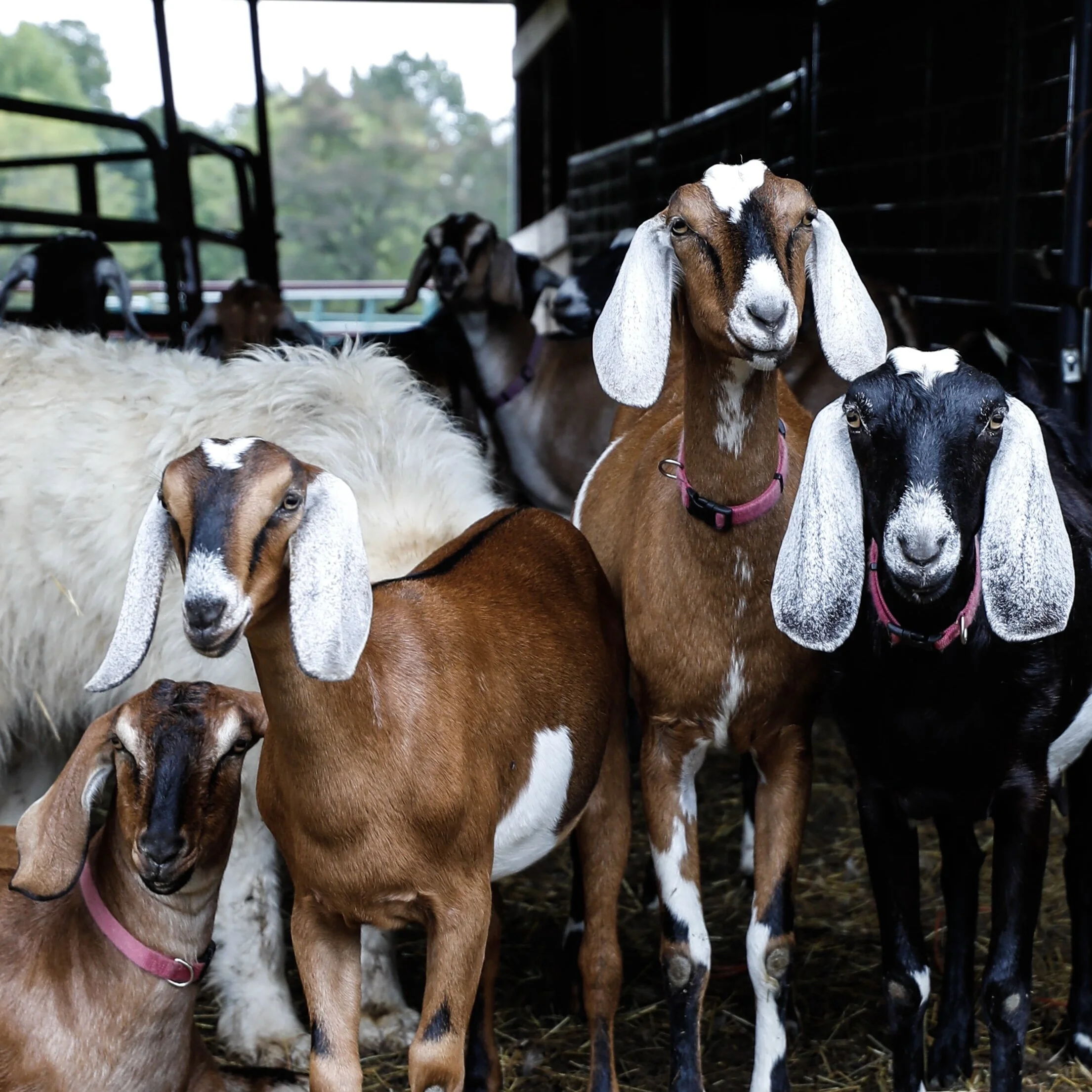 273 | Will the current system deliver on fundraising’s higher aspirations?