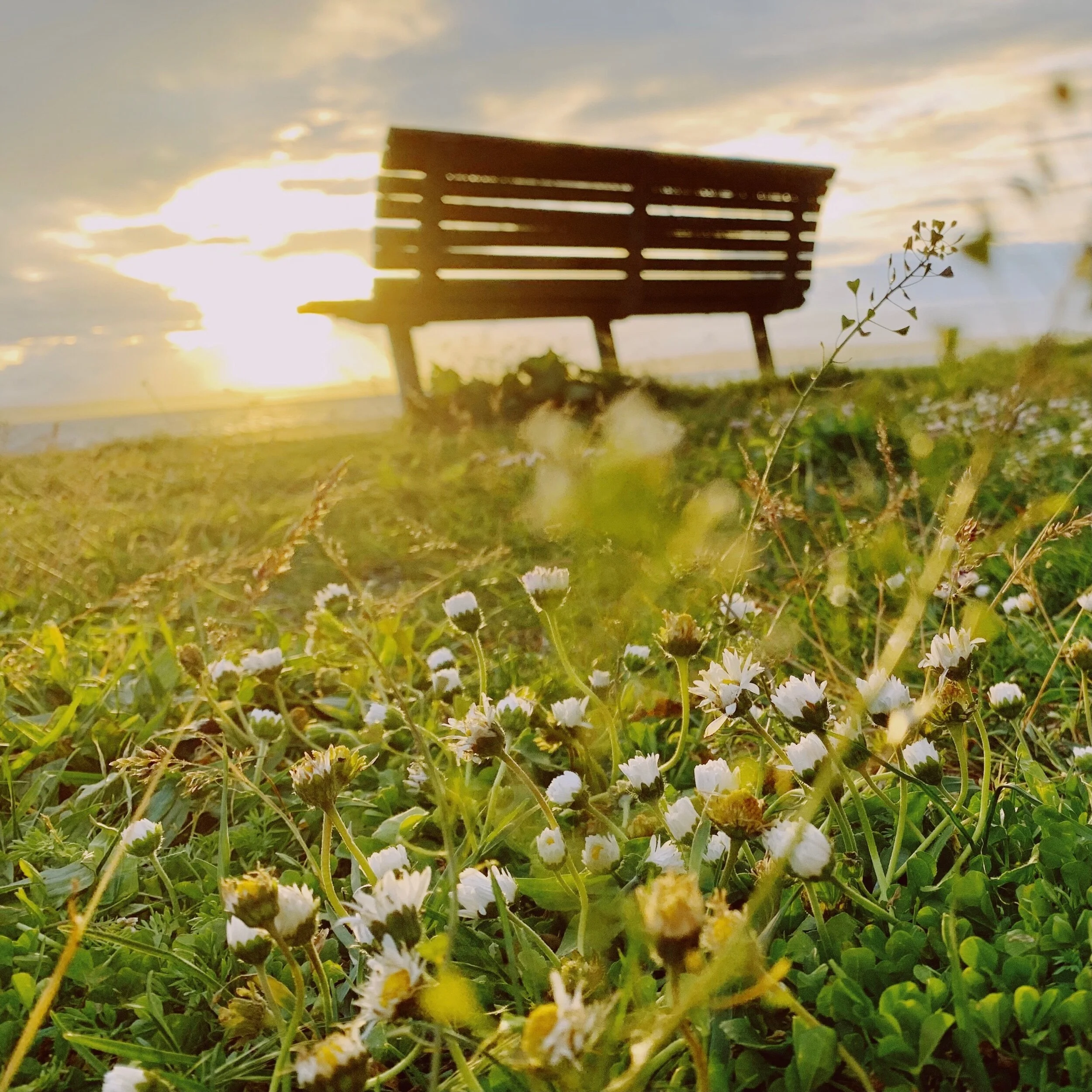 280 | Should fundraisers learn how to “dwell”with their donors?