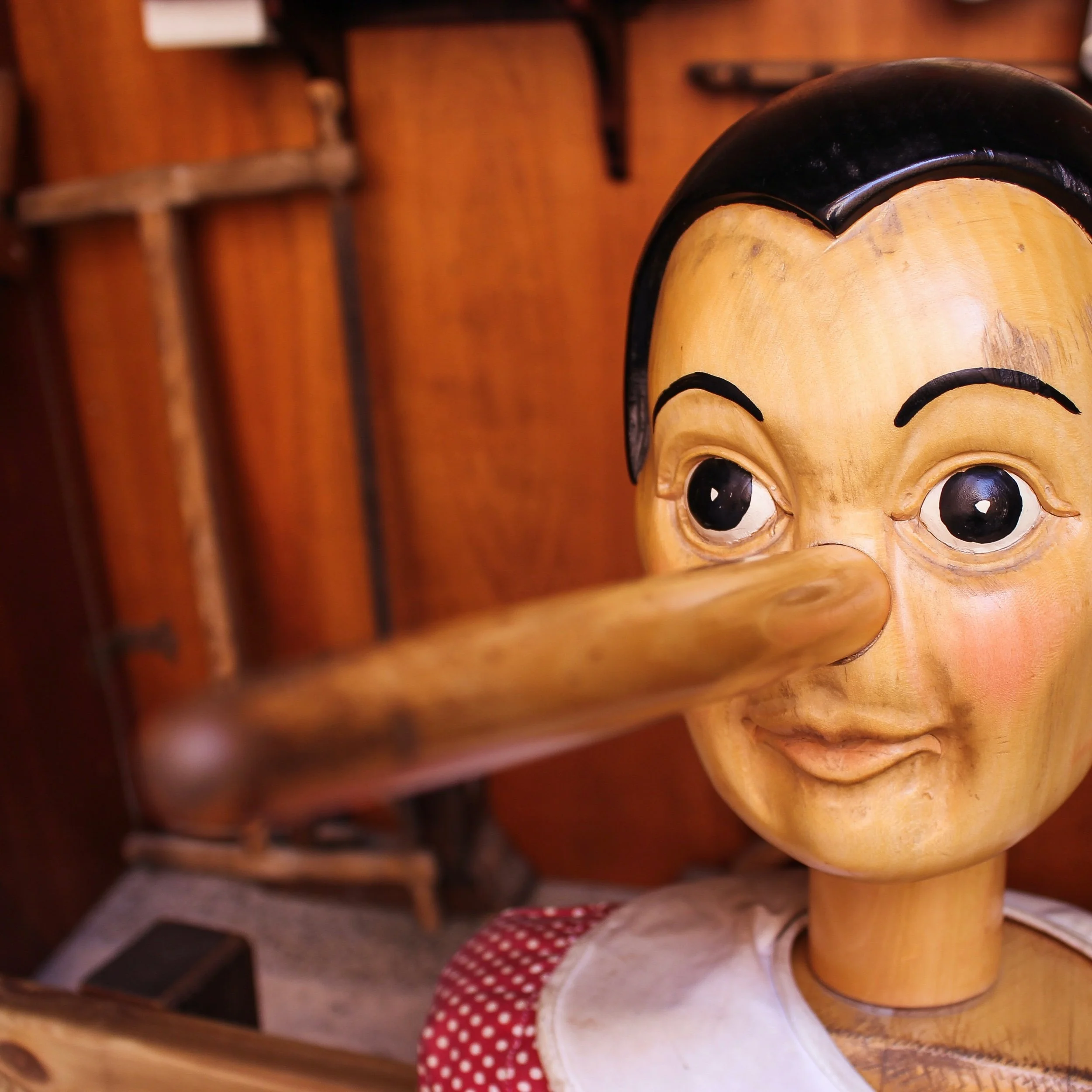 291 | Does fundraising deliberately avoid telling the truth?