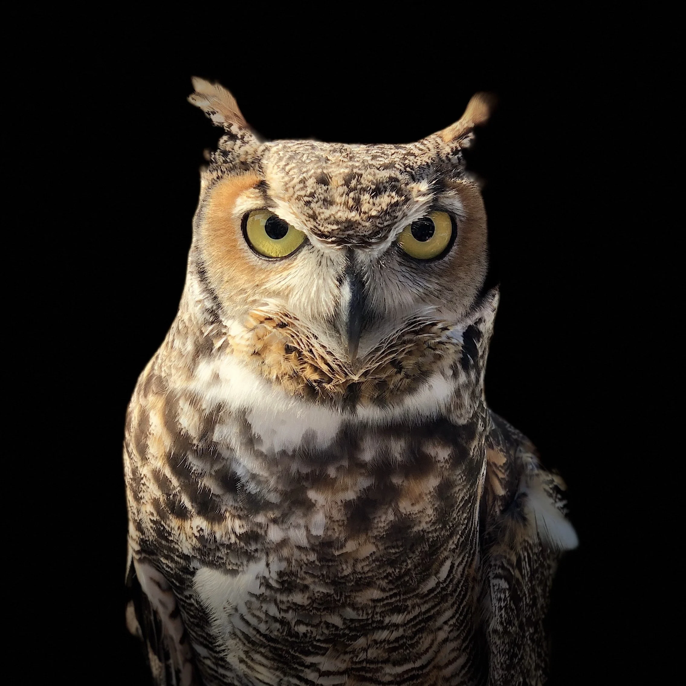 309 | Is the fundraising community growing wiser in these challenging times?