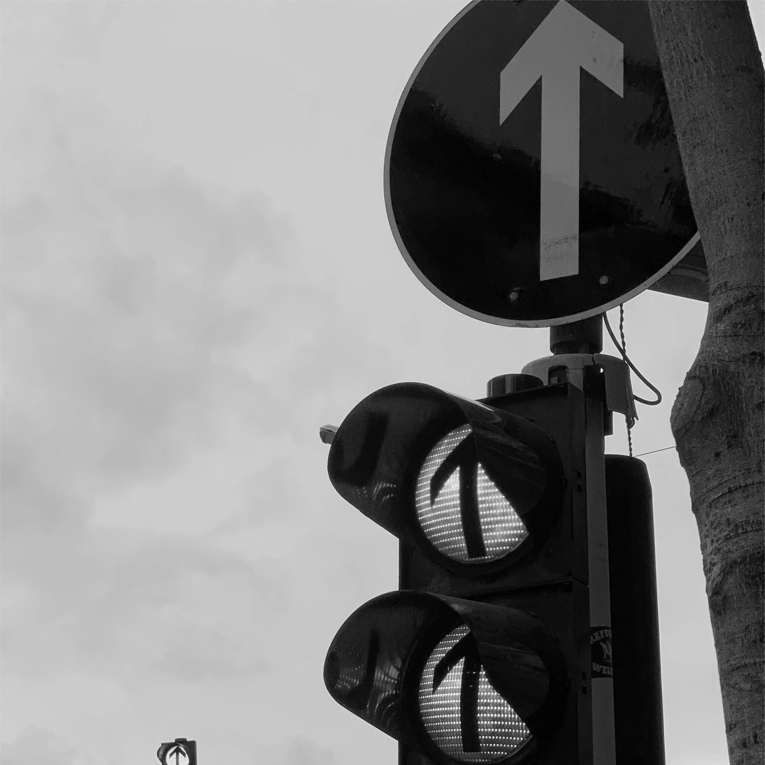 332 | Can fundraisers improve their outcomes by embracing the obvious?