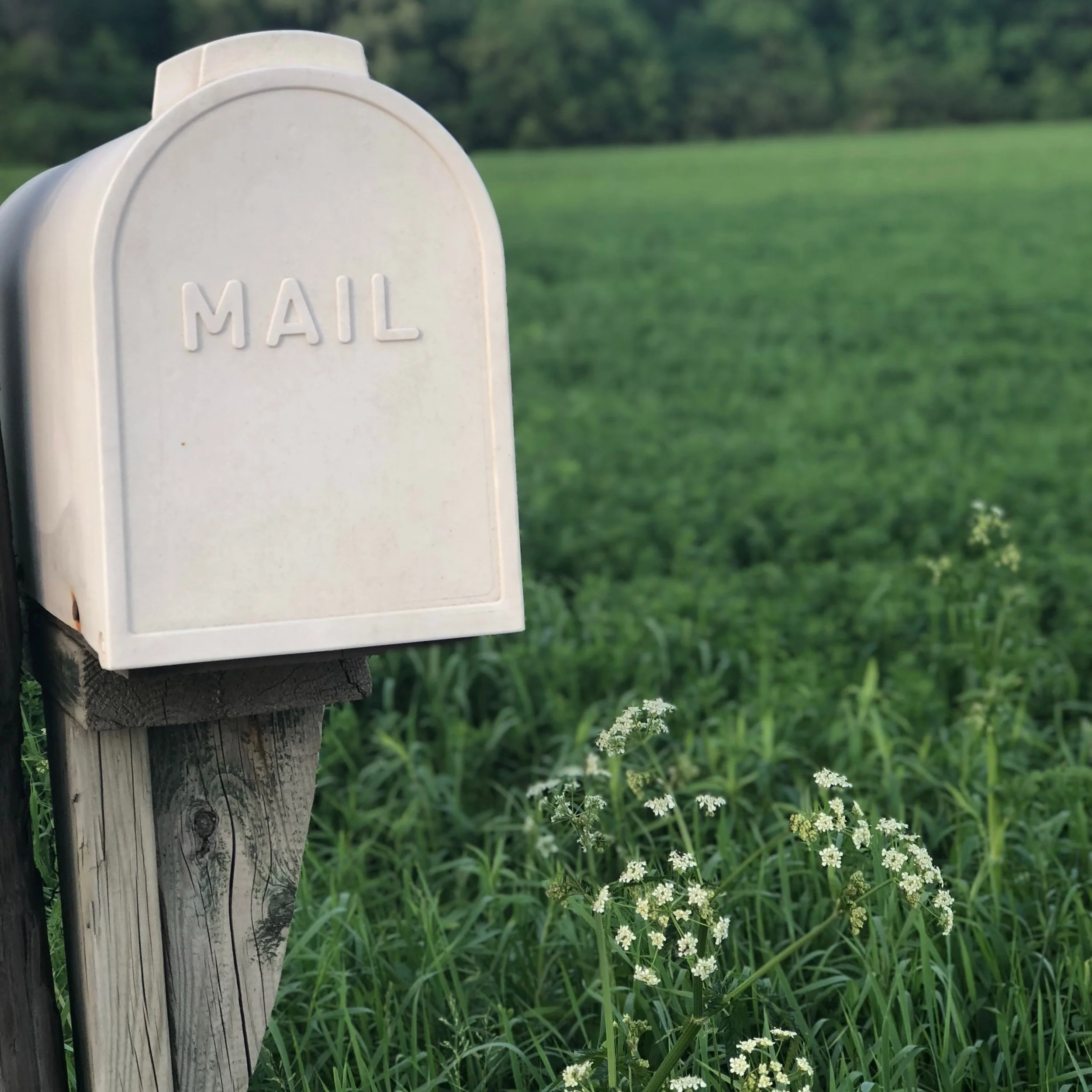 346 | How can sector leaders improve the donor experience?