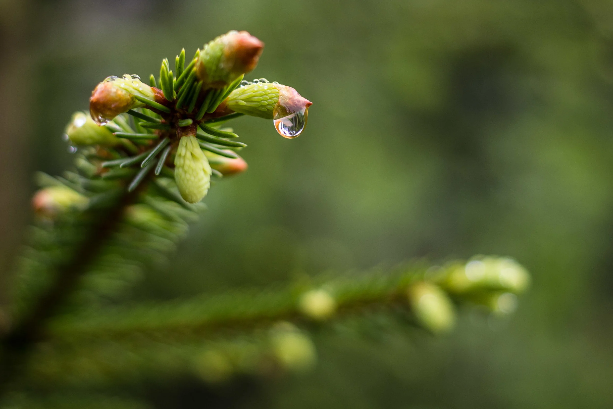 Droplet, Switzerland