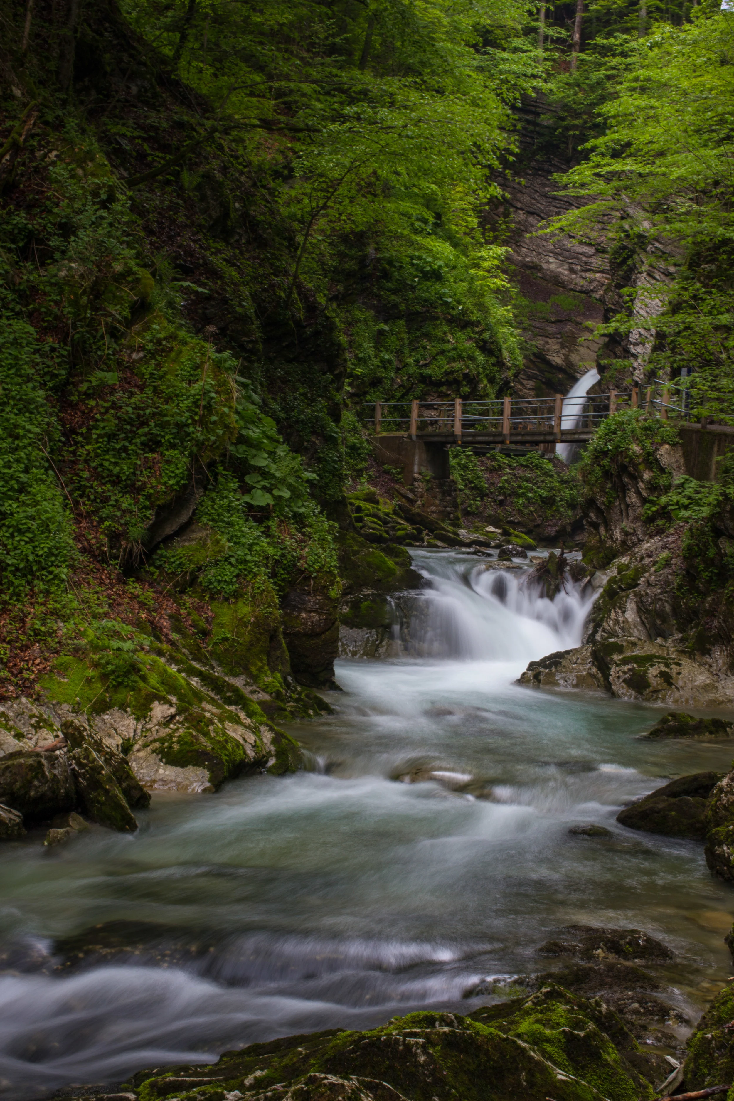 Thurfaelle, Switzerland