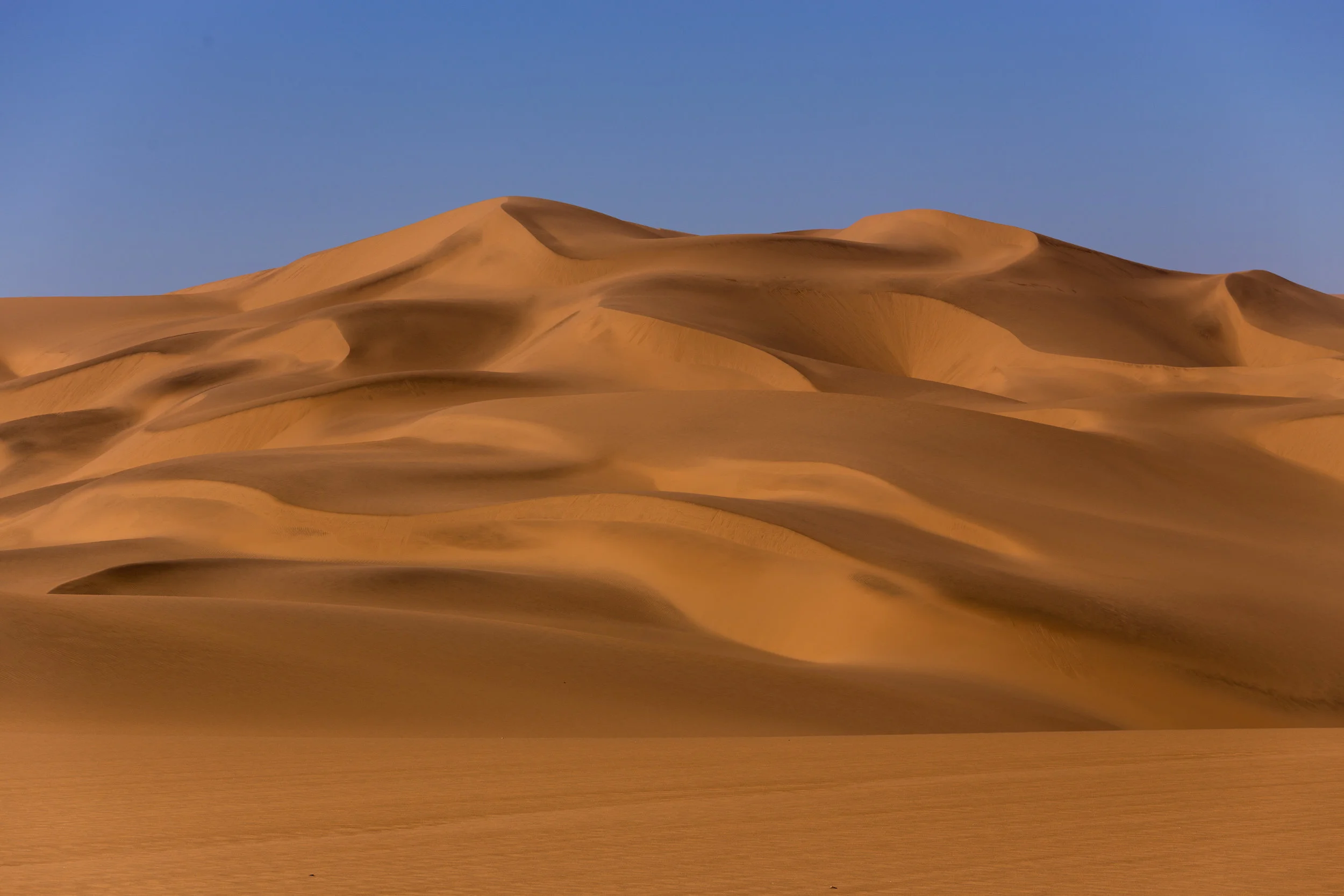 Skeleton Coast, Namibia