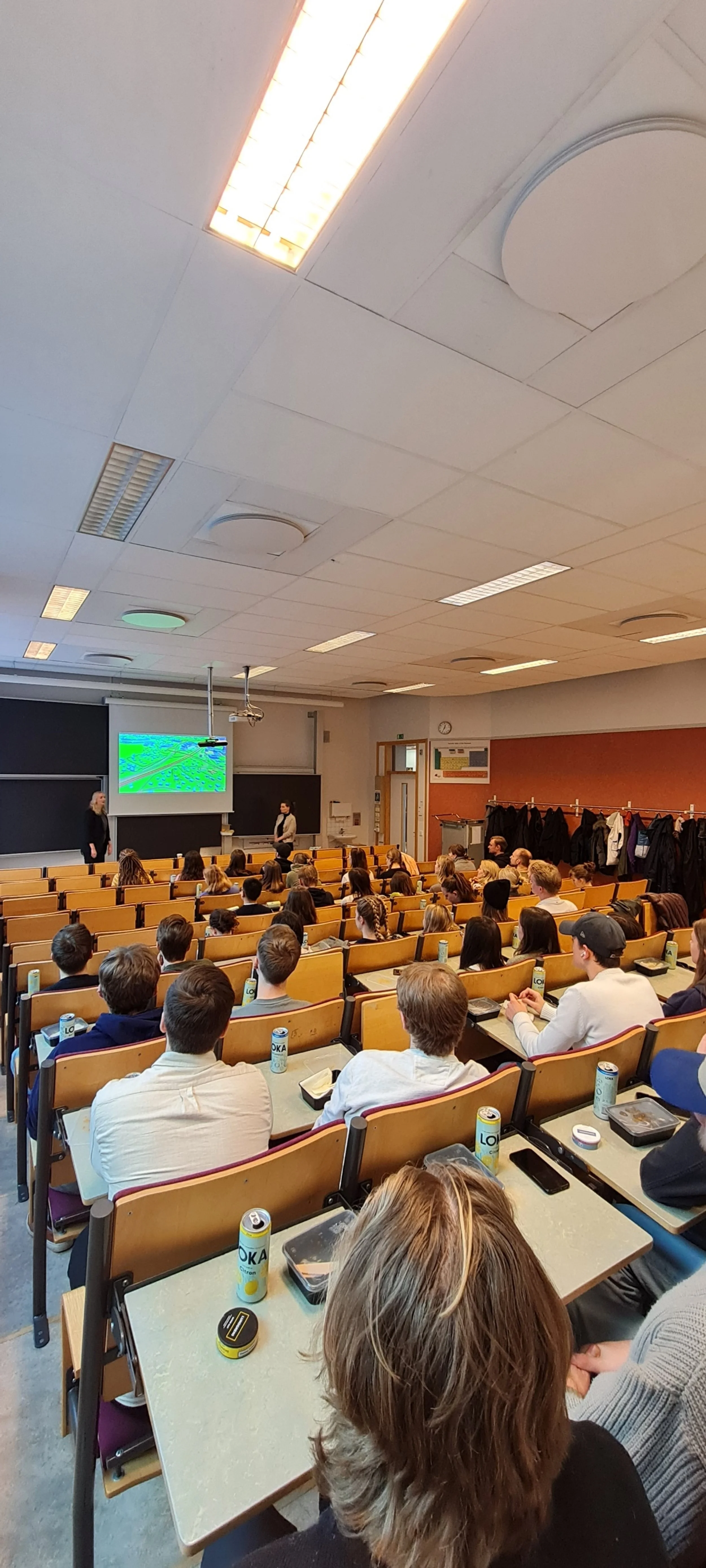 structorbild1.jpg
