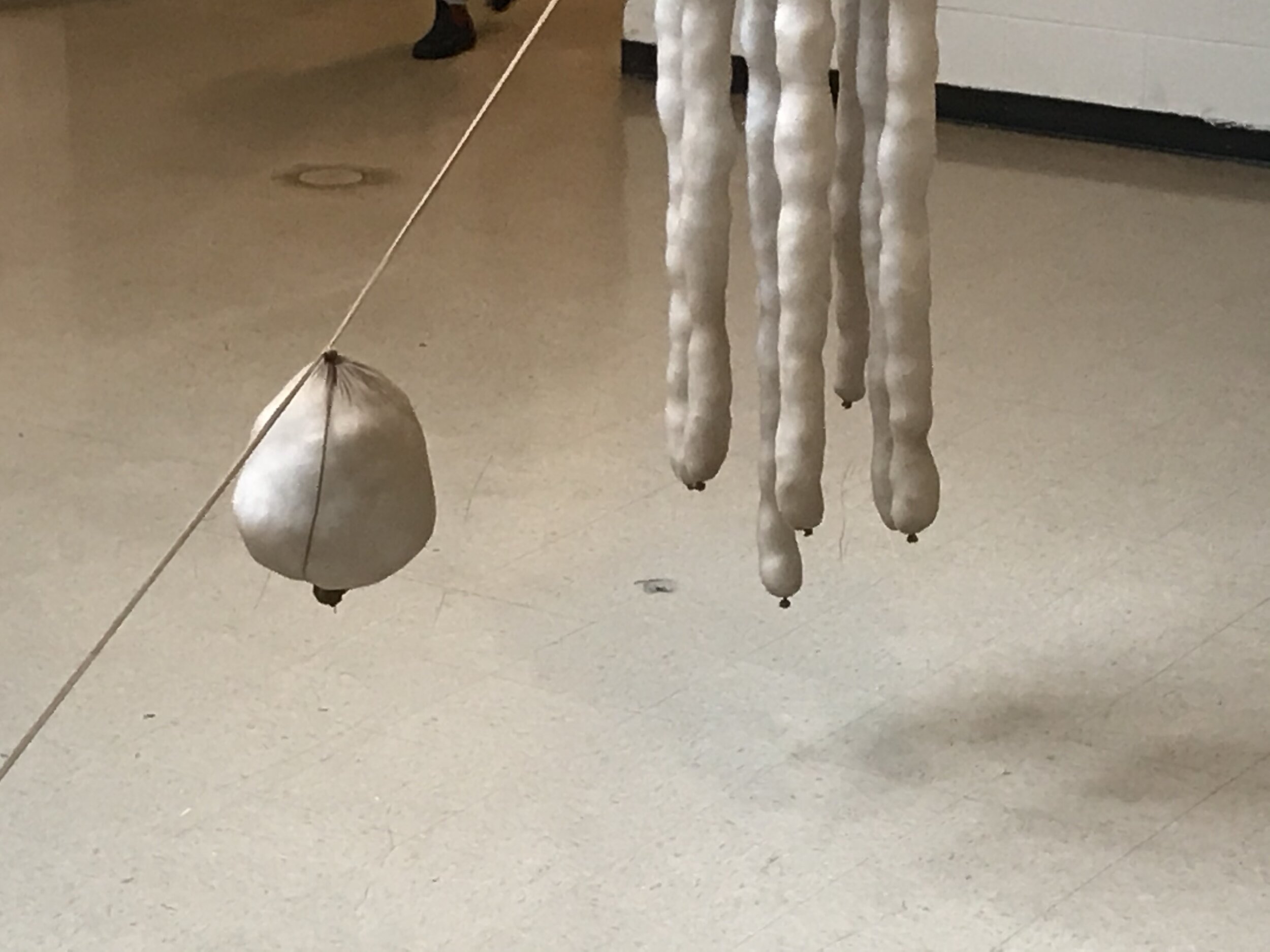 (body) without (organs)