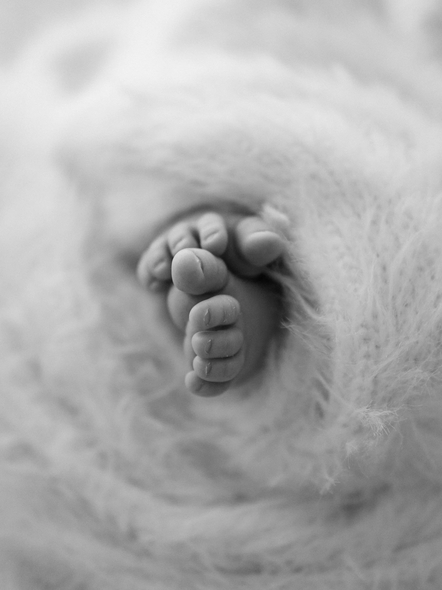 The cosiest of toes 

#camberleynewbornphotographer 
#surreynewbornphotographer 
#farnhamnewbornphotographer 
#farnboroughnewbornphotographer 
#hampshirenewbornphotographer