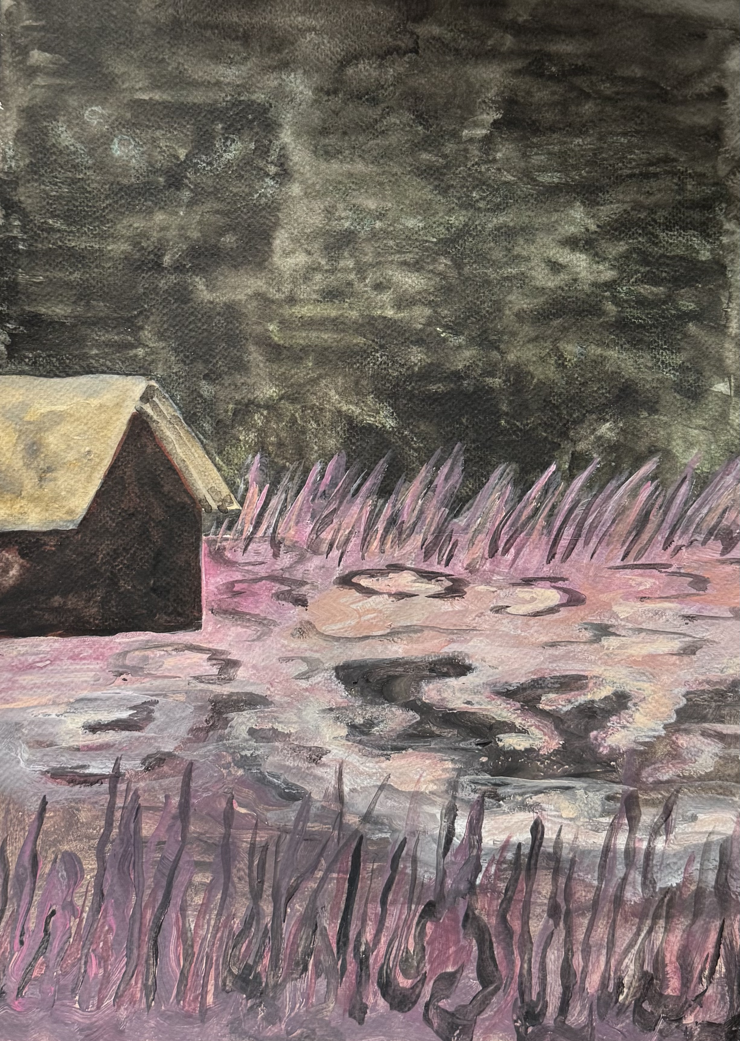 the meadow 

watercolor on paper 2025 

30x40cm 