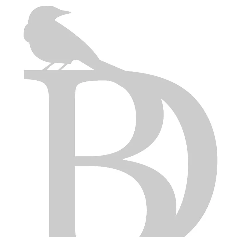 Birberous+Web+Logo+2021+80p.jpg