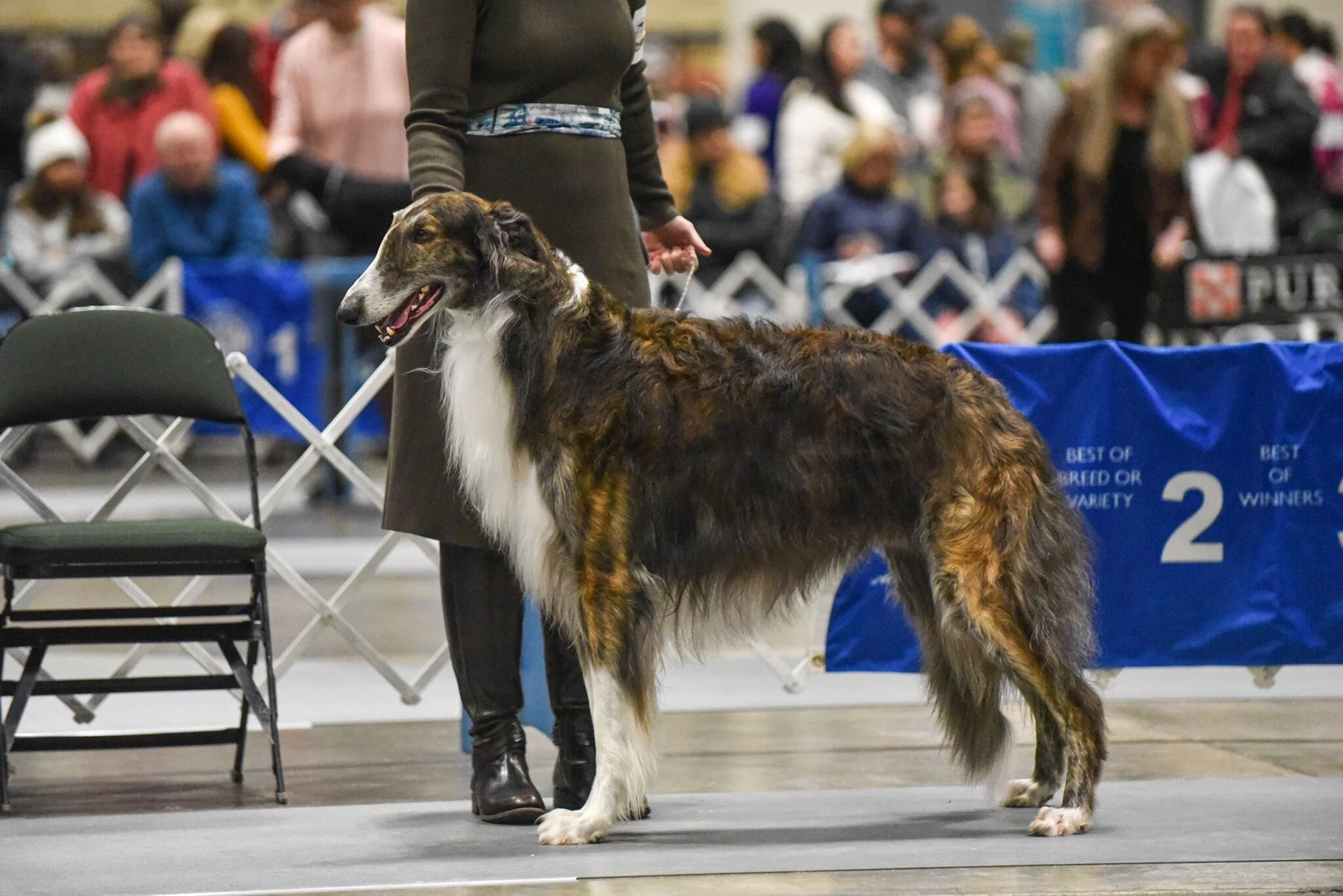 Land O Lakes Kennel Club
