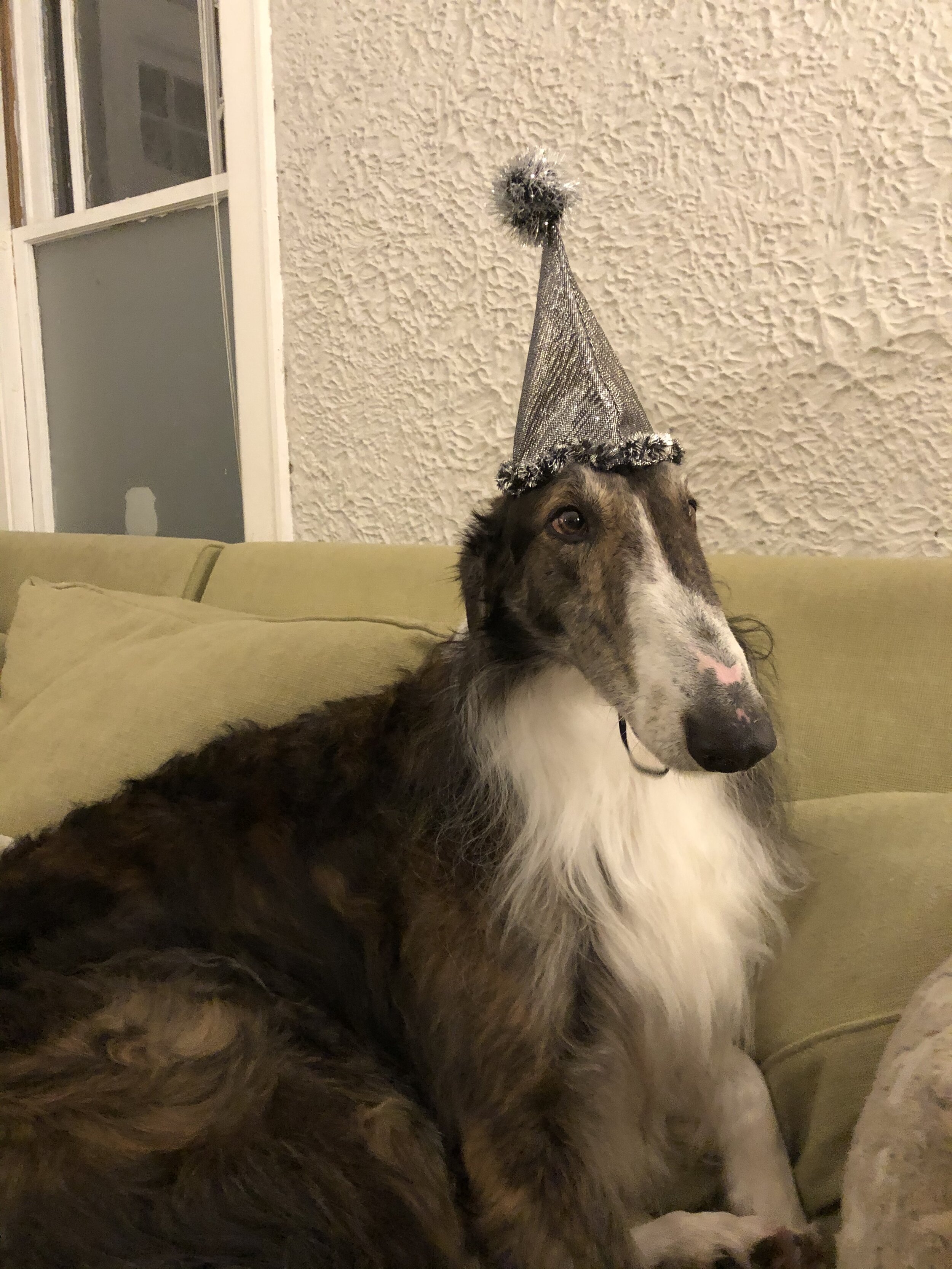 Happy New Year from Giefy!