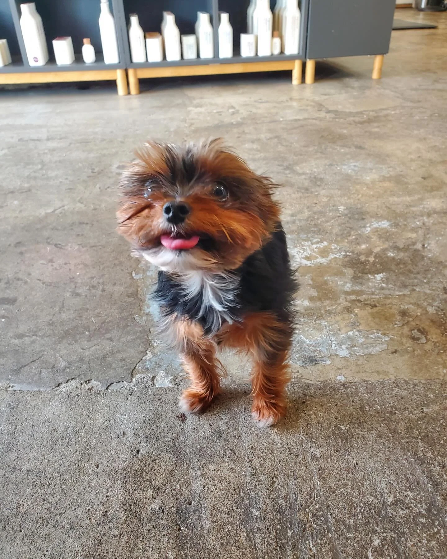 Our favorite lil visitor.