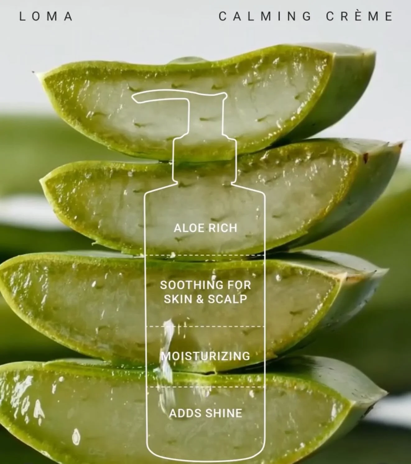 It&rsquo;s favorite for a reason!!!
30% off all week!