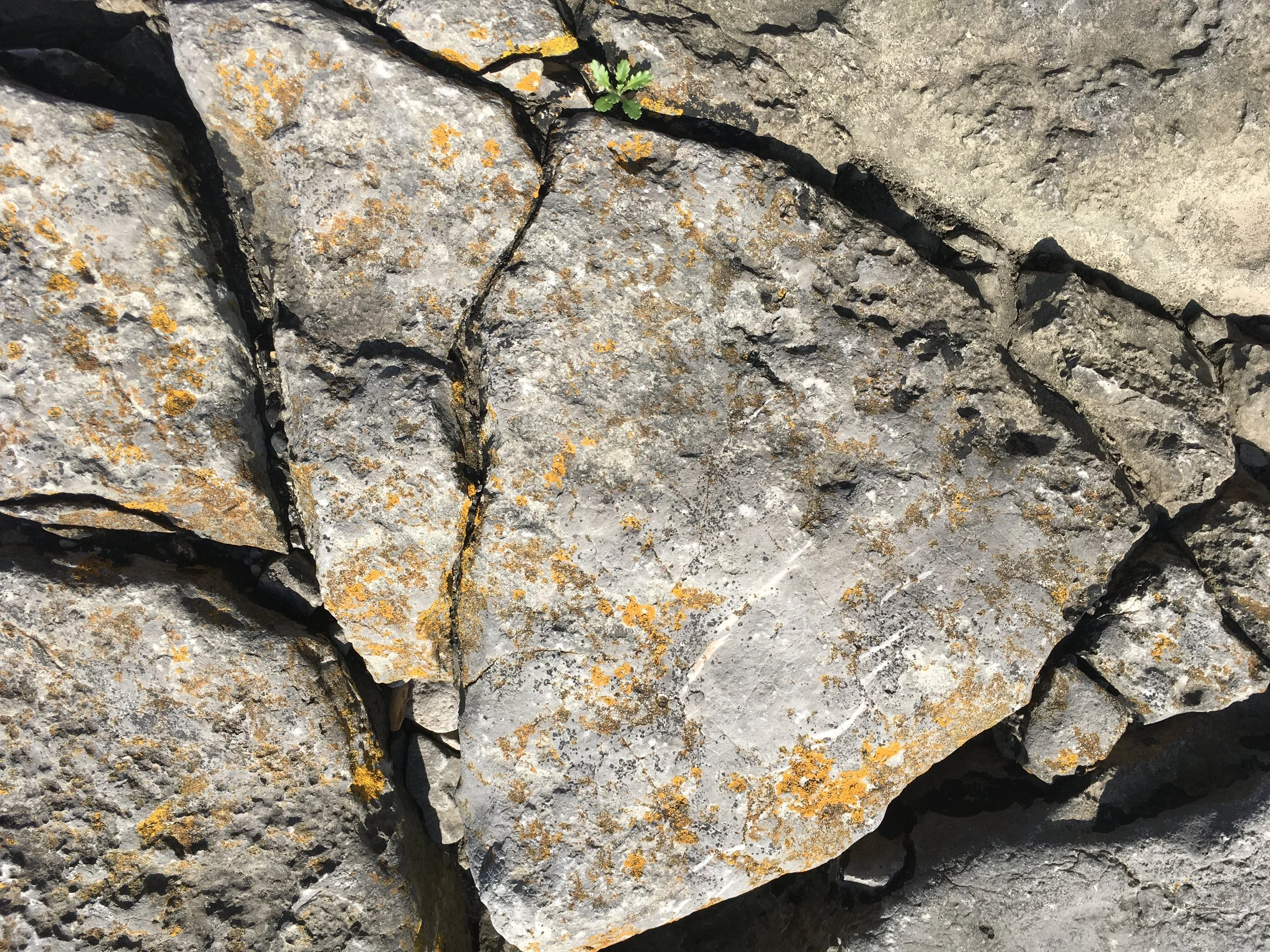 Of Endings and Beginnings.JPG