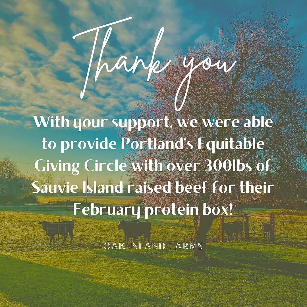 This community blew us away with support for our beef drive!

Last week I was able to deliver over 300lbs of our island raised beef to @equitablegivingcircle for their February protein boxes. Our beef will be distributed to local BIPOC families this 