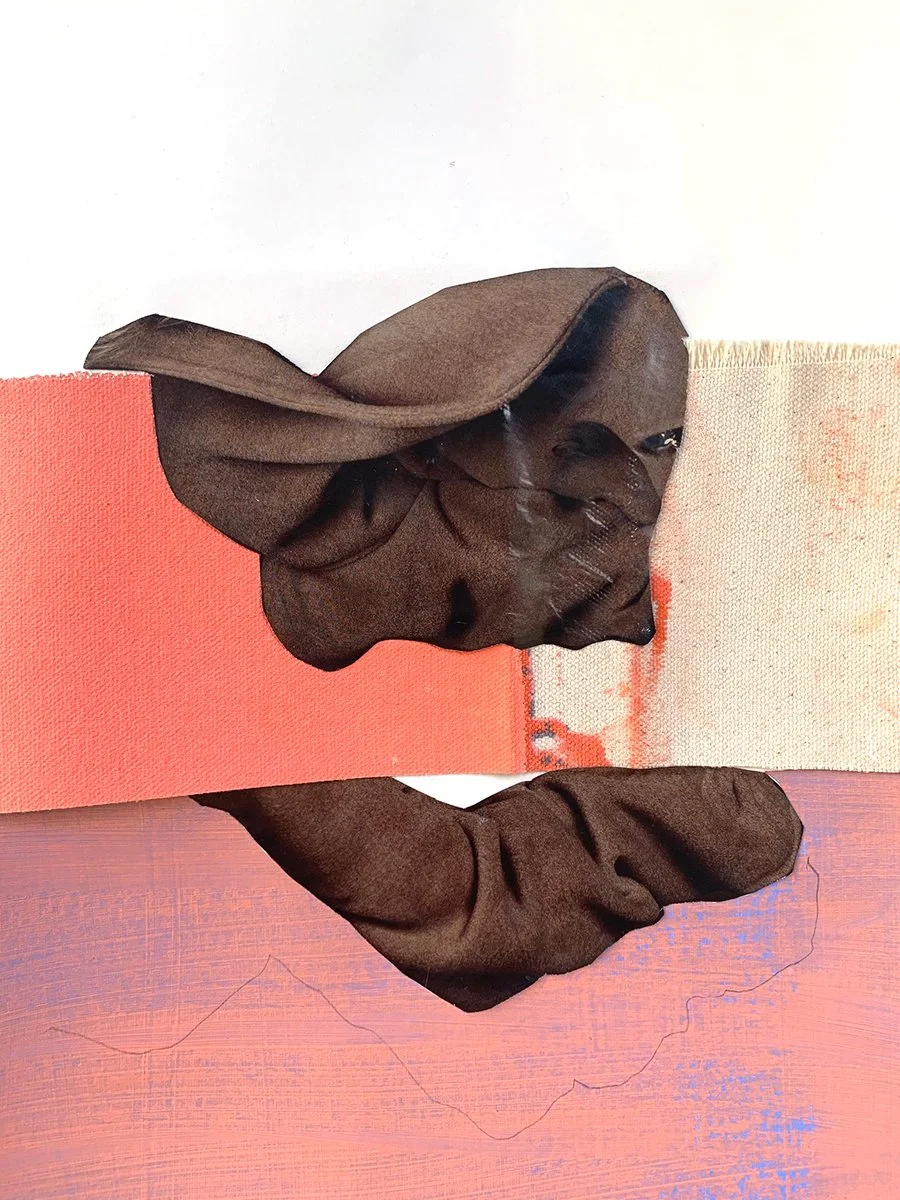 collage-1.jpg