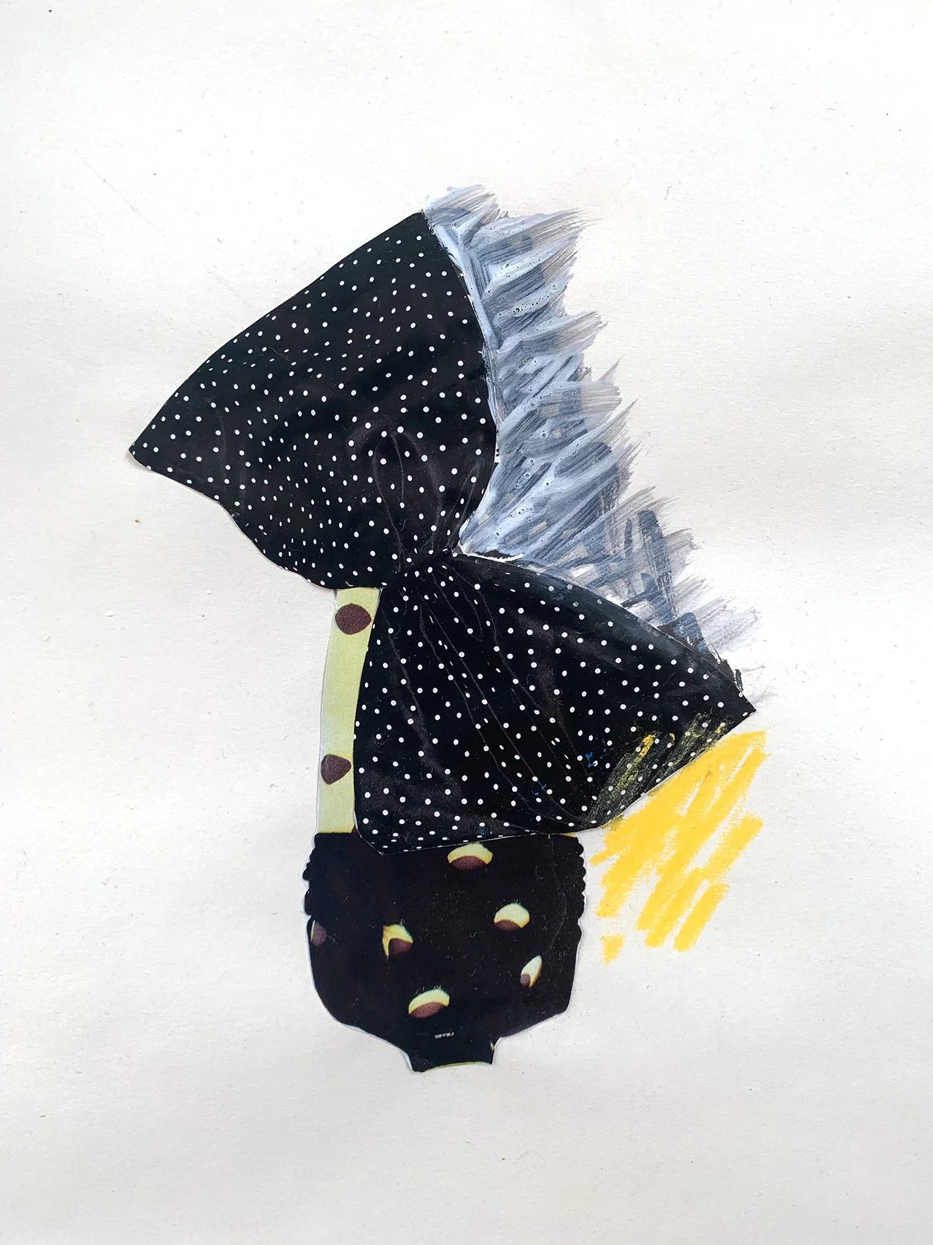 IMG_6217.jpg