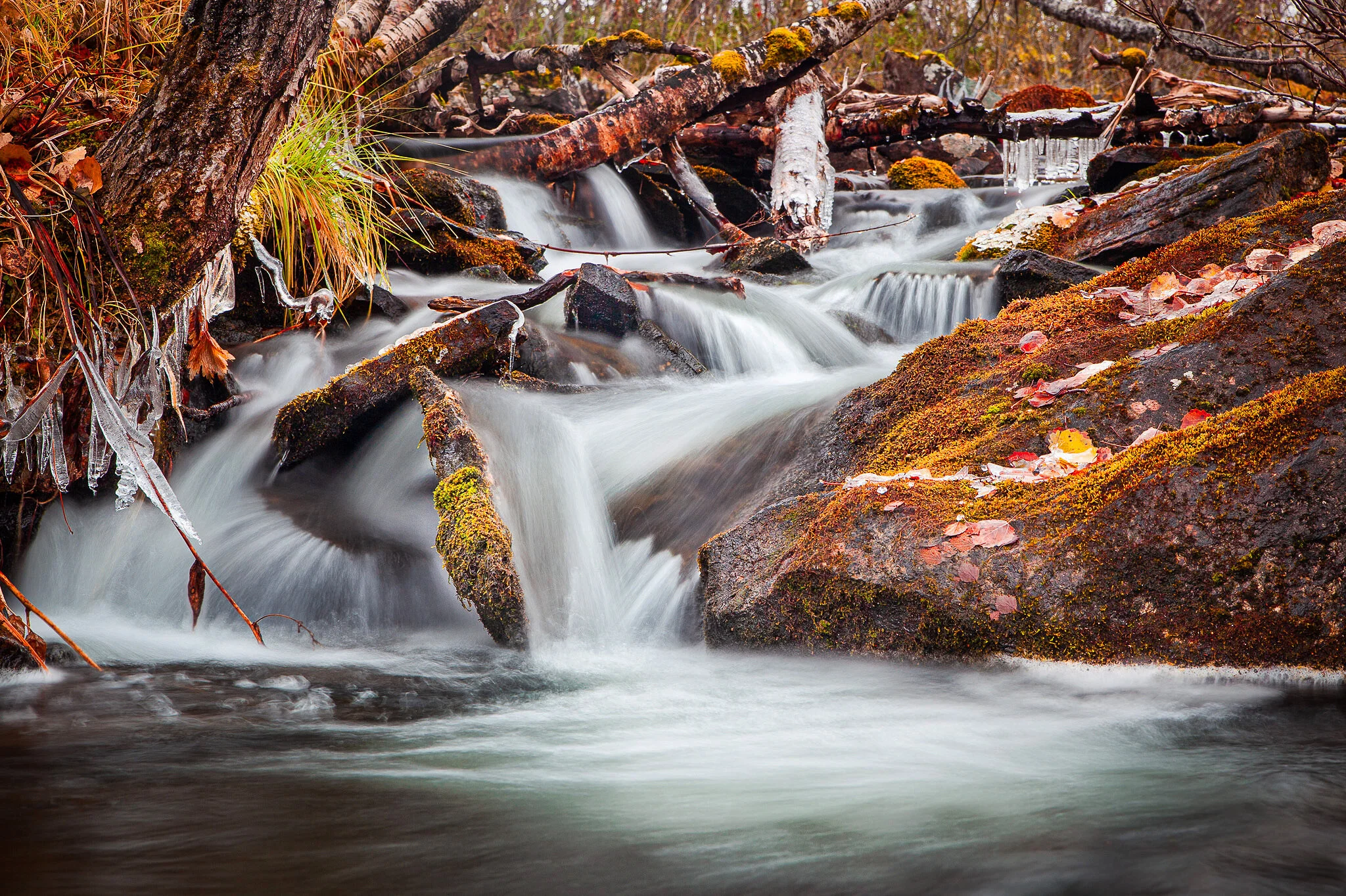 River in autumn colors