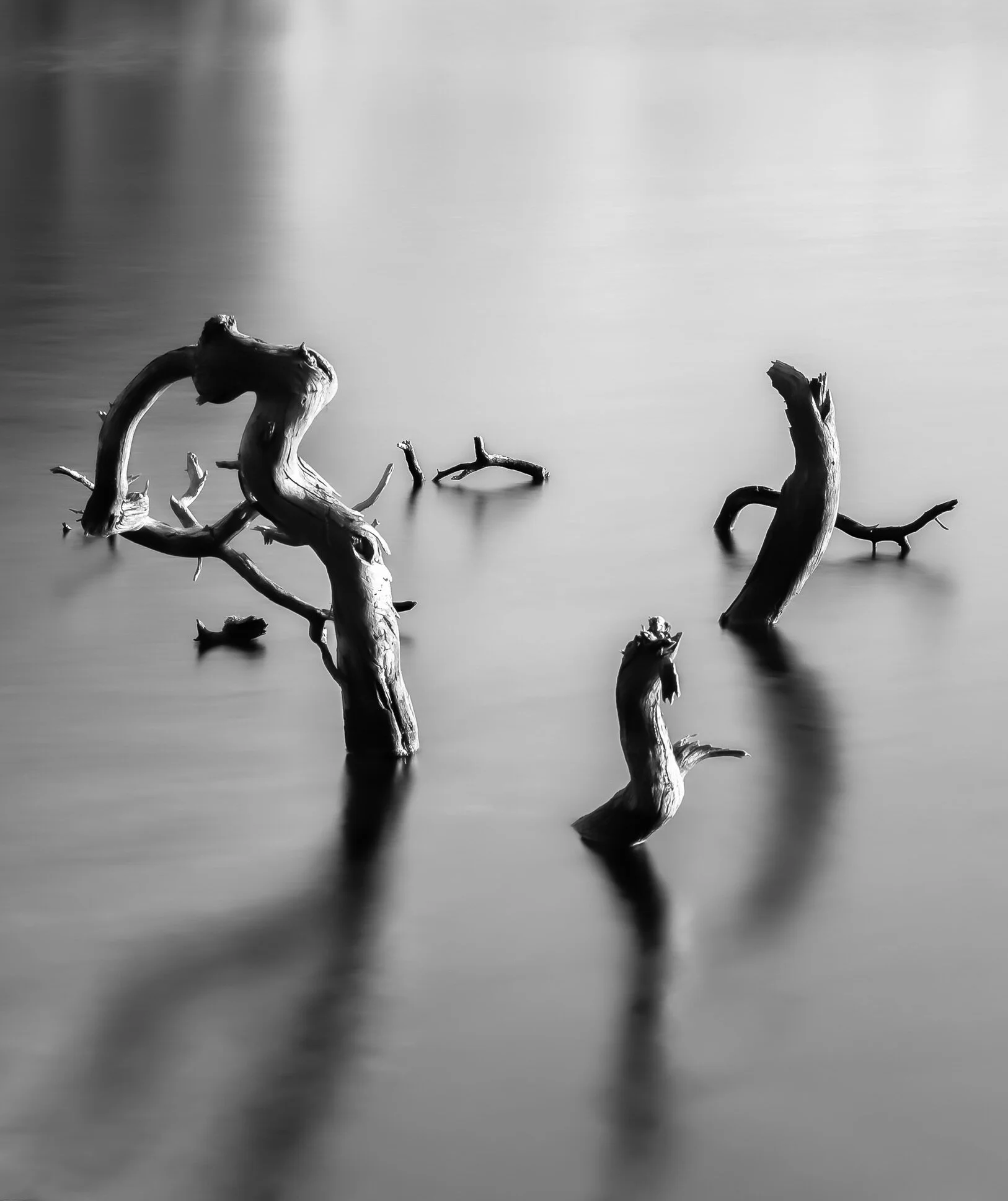 Timeless fine art image