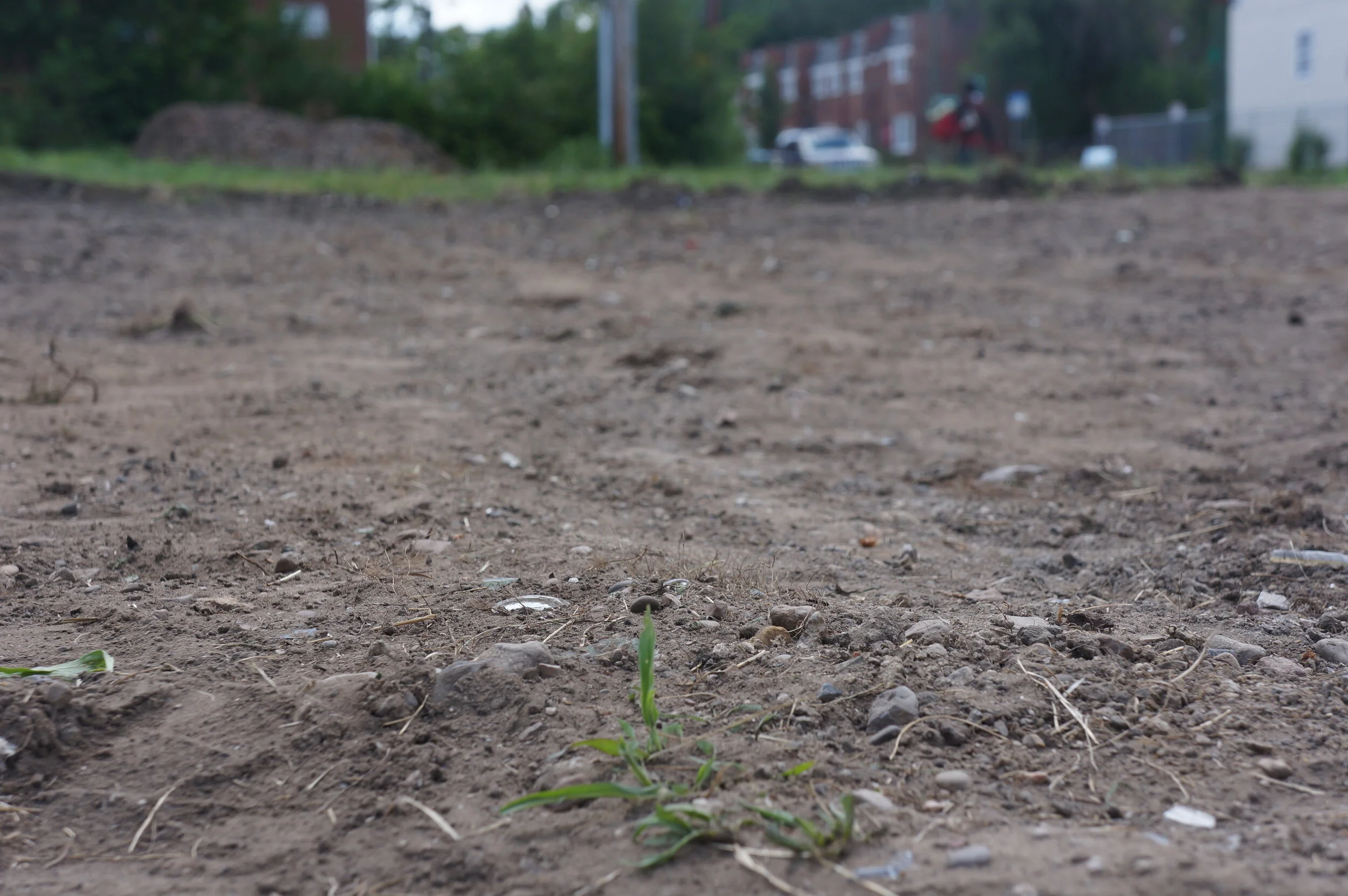 Got A Lot-ta Work to Do