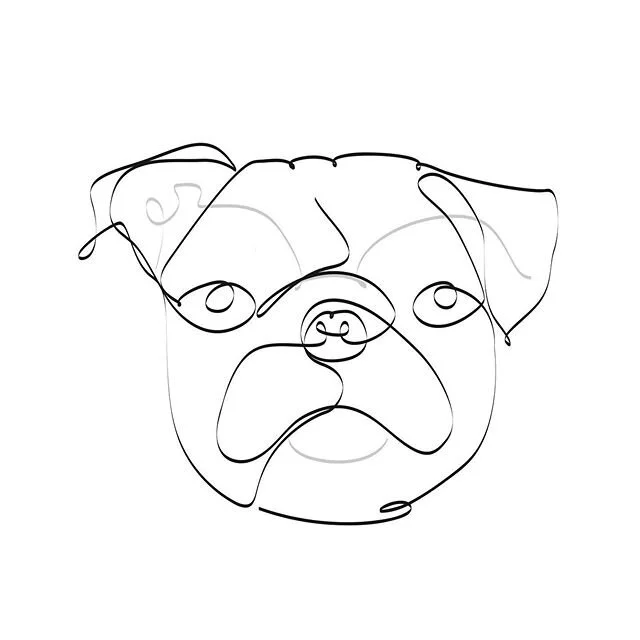 Playing around with some animal line drawings using @adobecreativecloud illustrator! Using the 5pt flat brush and adding in depth by reducing the opacity! Might experiment with some other brushes 🙃

#design #designer #designing #freelance #freelance