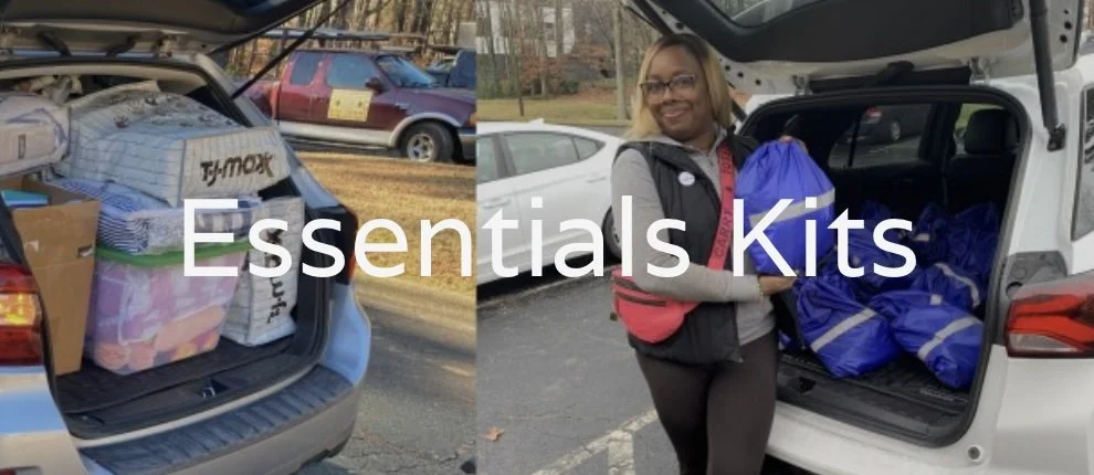 Housing for New Hope Collection