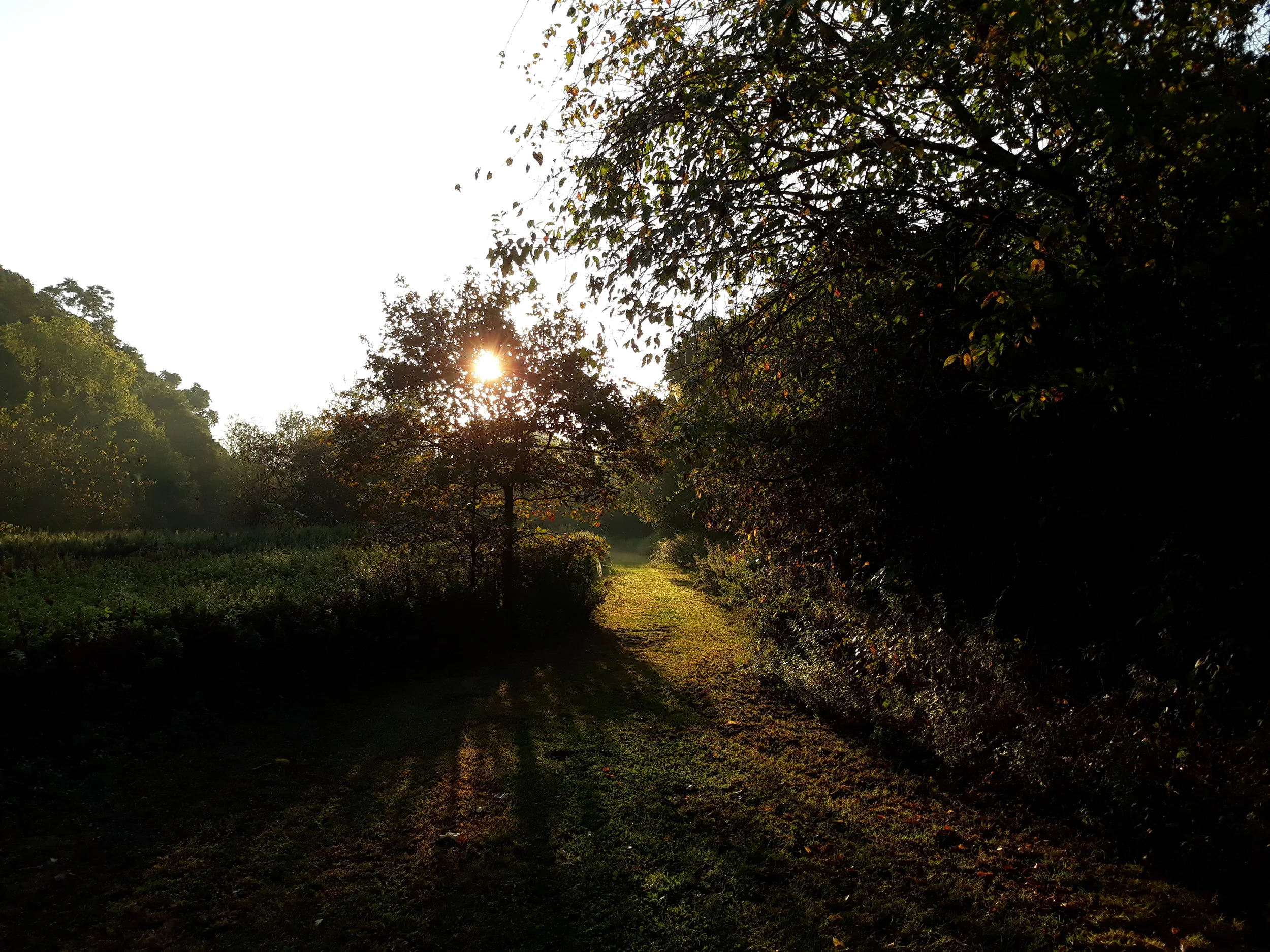 A Letter from Lindy Jan 26