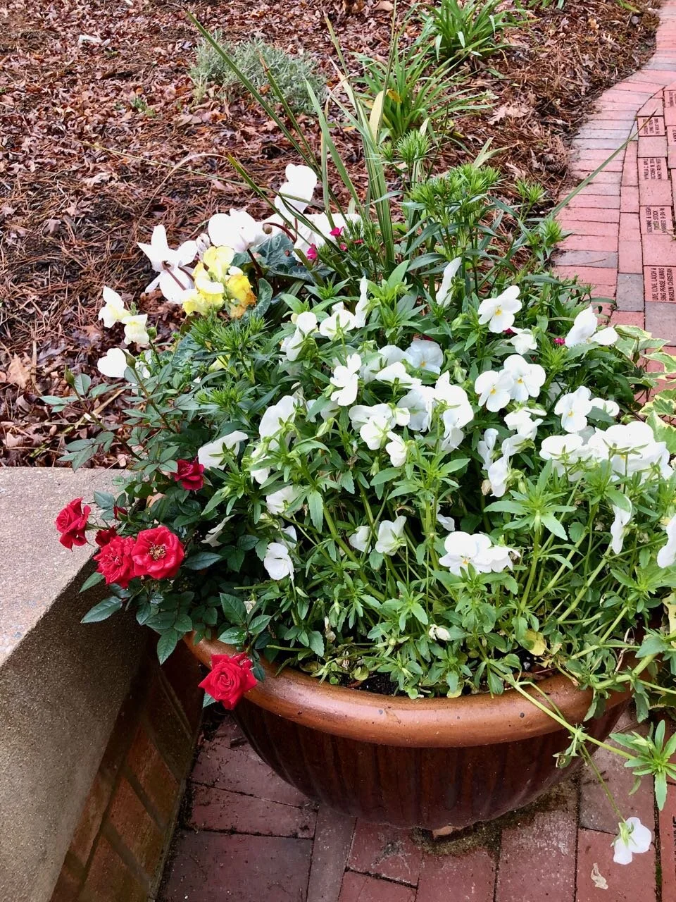 A Letter from Lindy for Easter Sunday