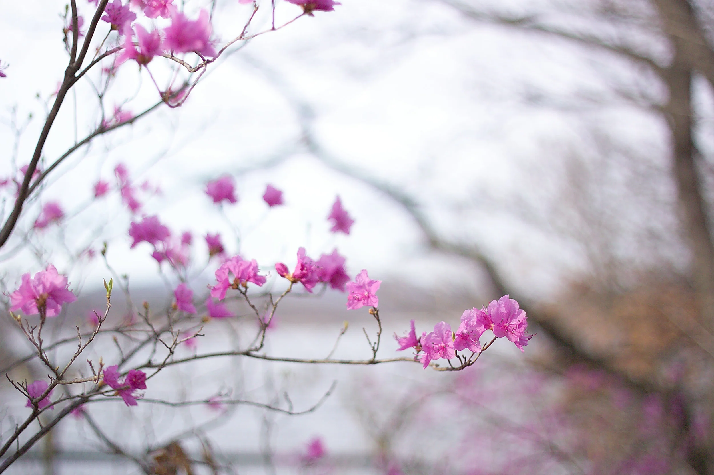 A Letter from Lindy May 22