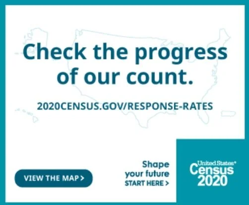 The Census: Why it Matters and How to Help
