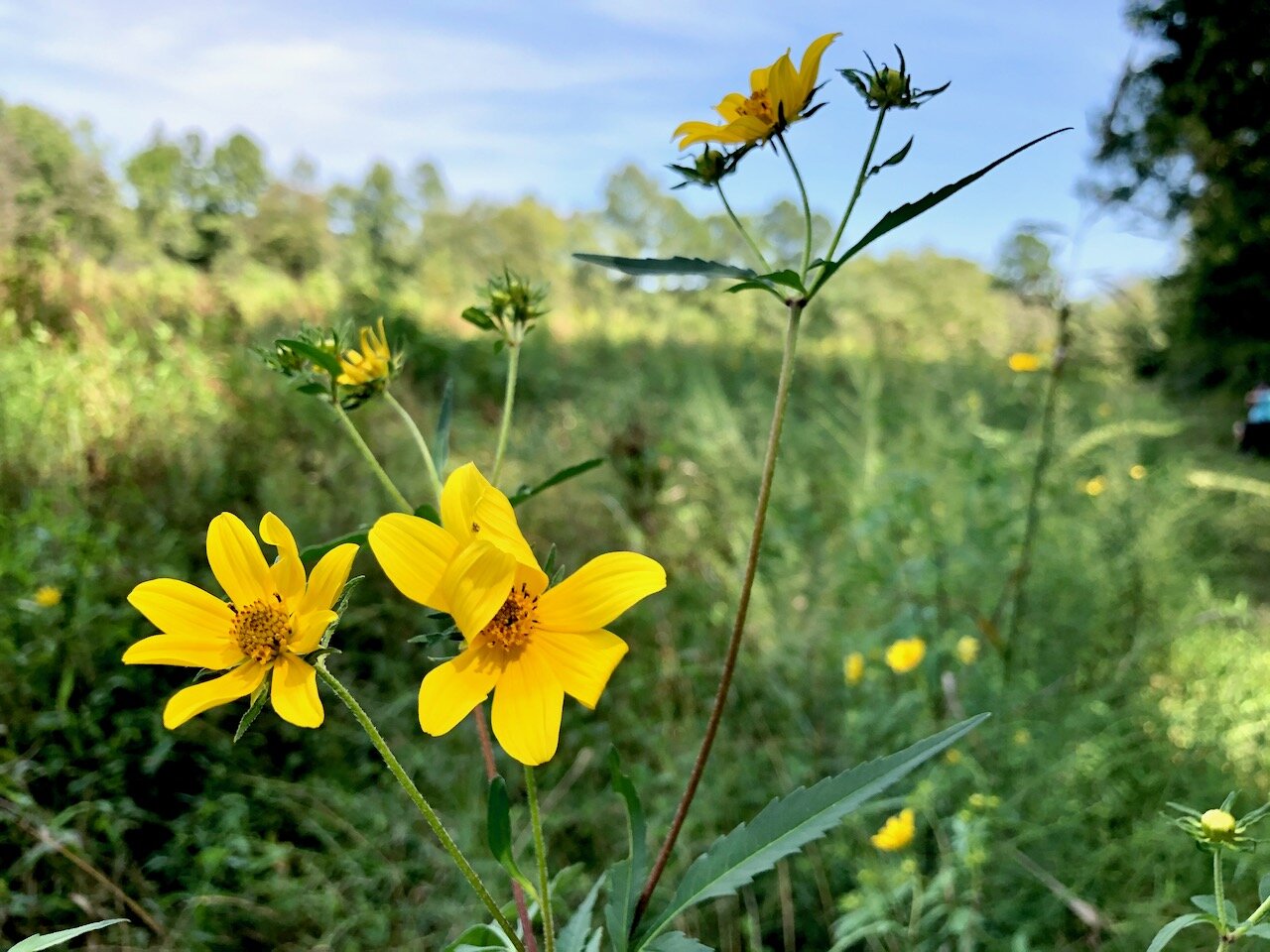 Letter from Lindy Sept 20