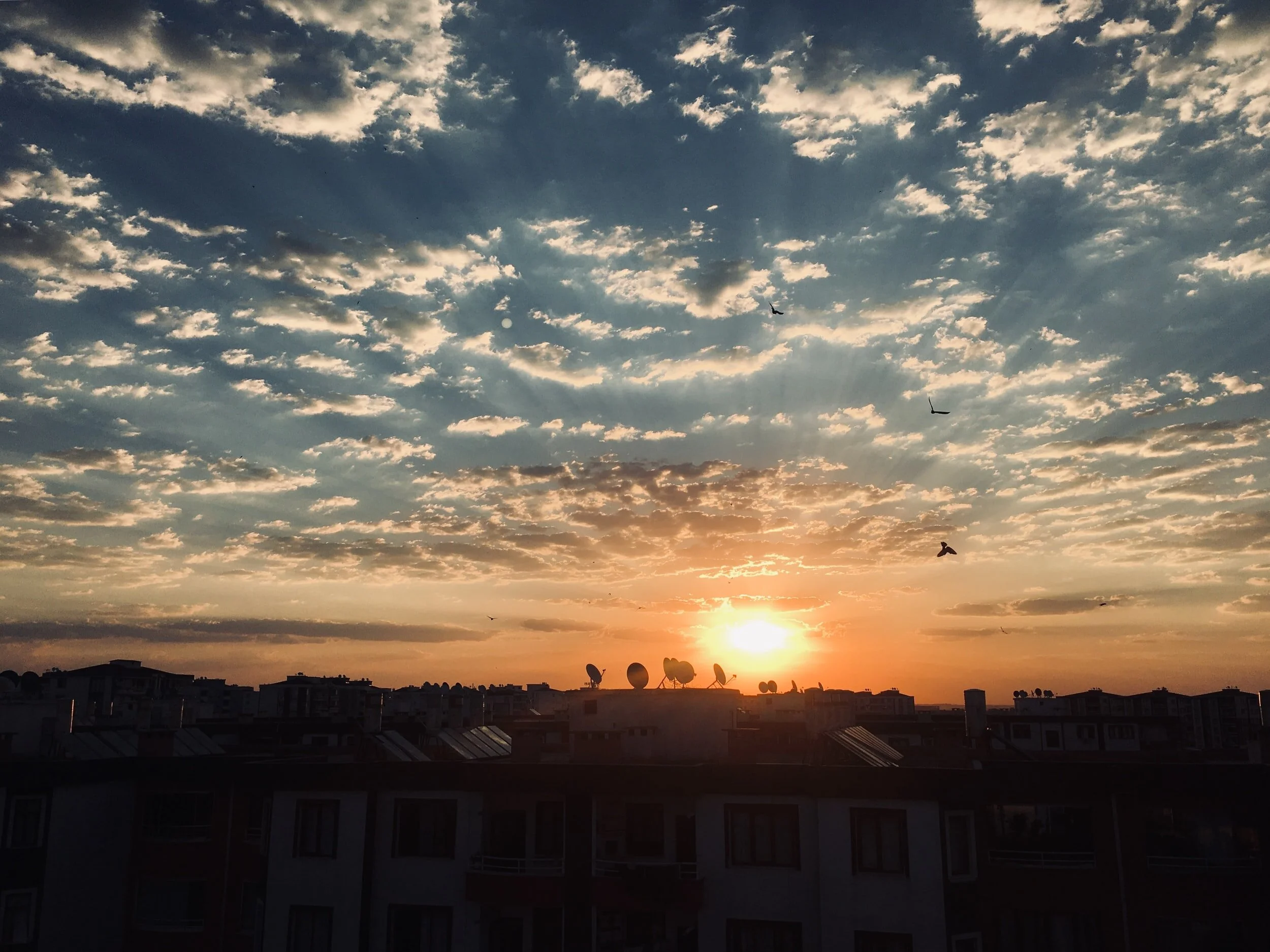 Letter from Lindy Jan 24