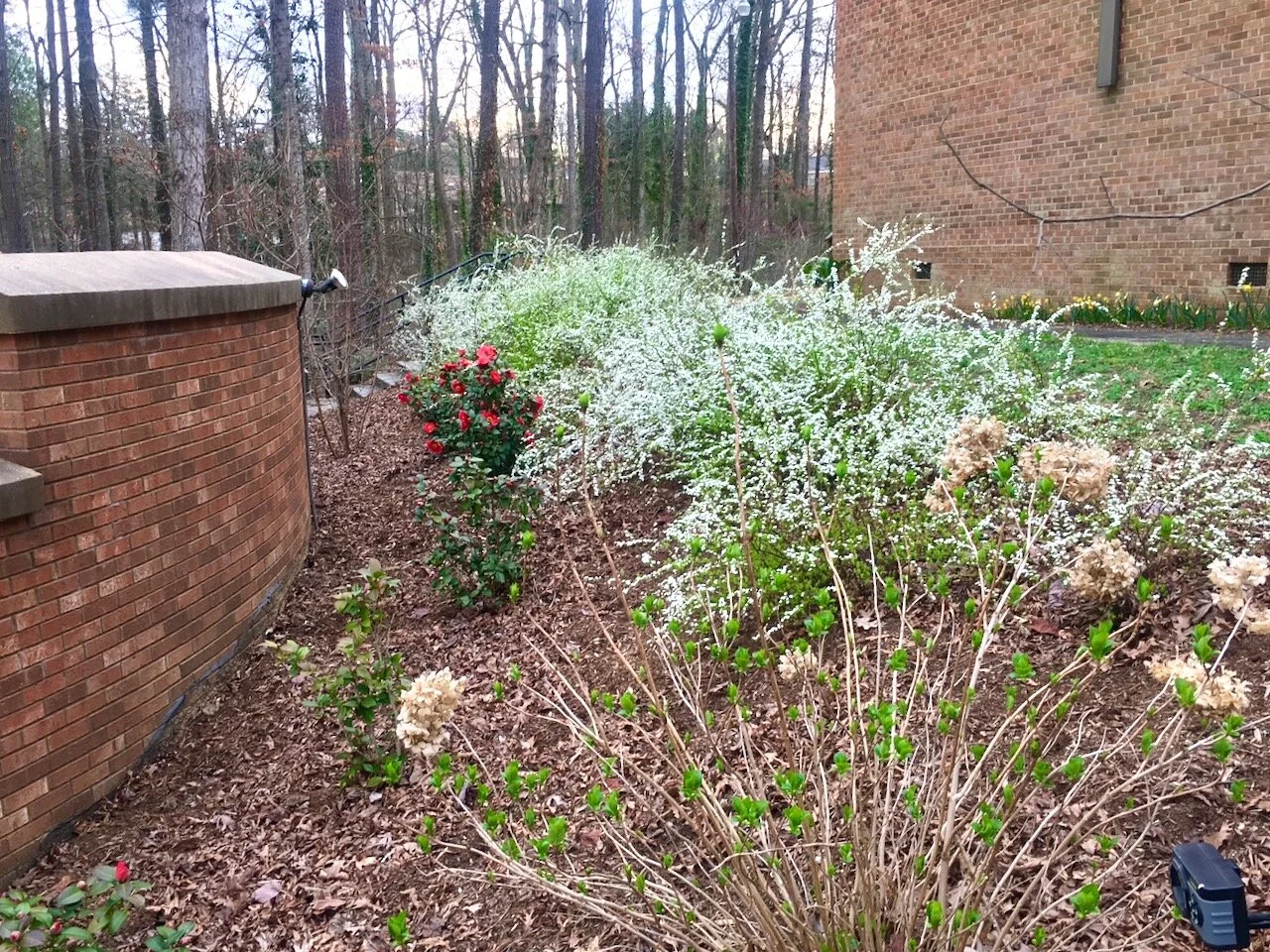 Letter from Lindy March 21