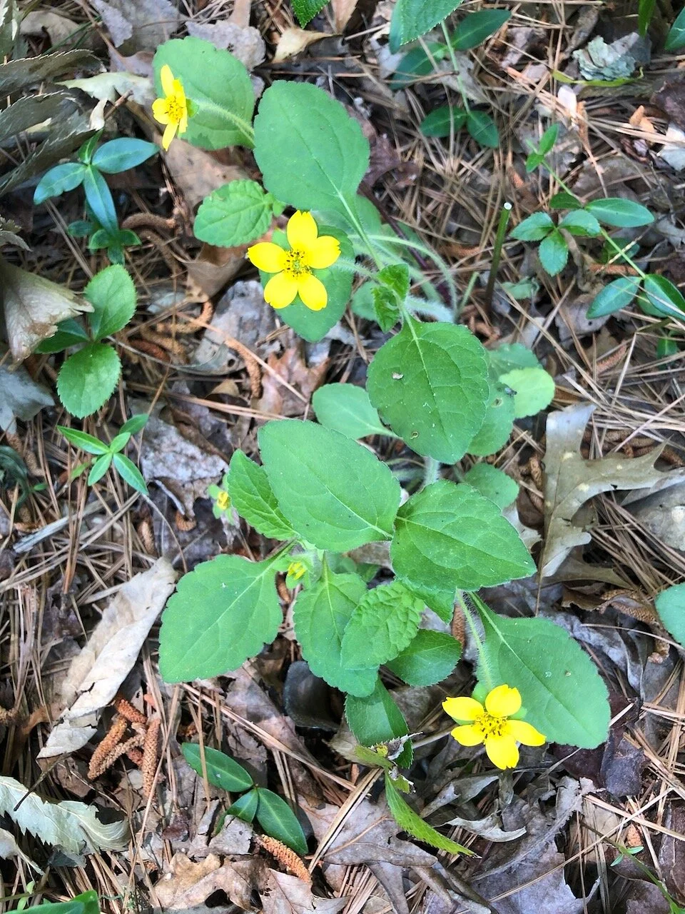 Letter from Lindy May 2