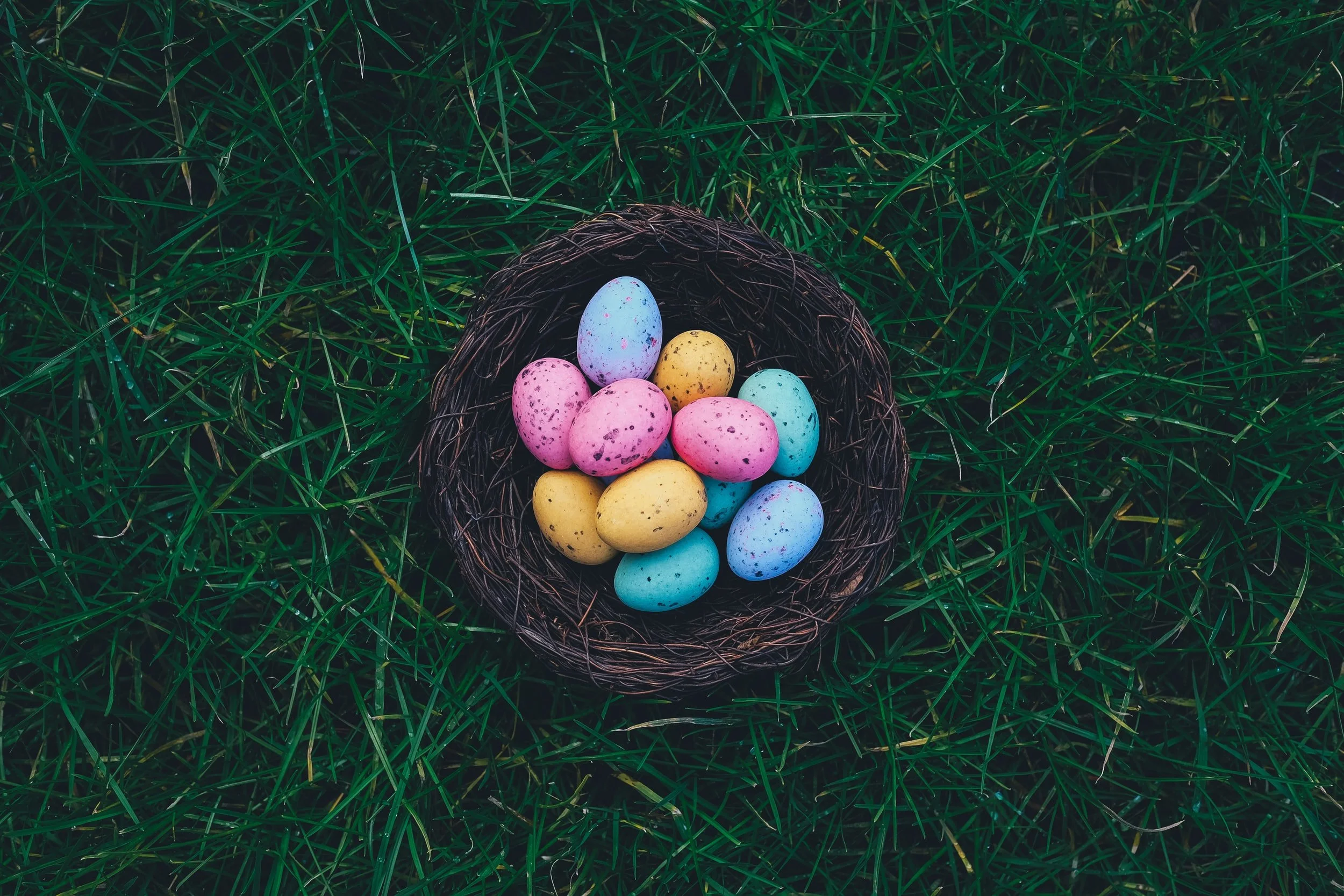 Letter from Lindy Easter Sunday Apr 17