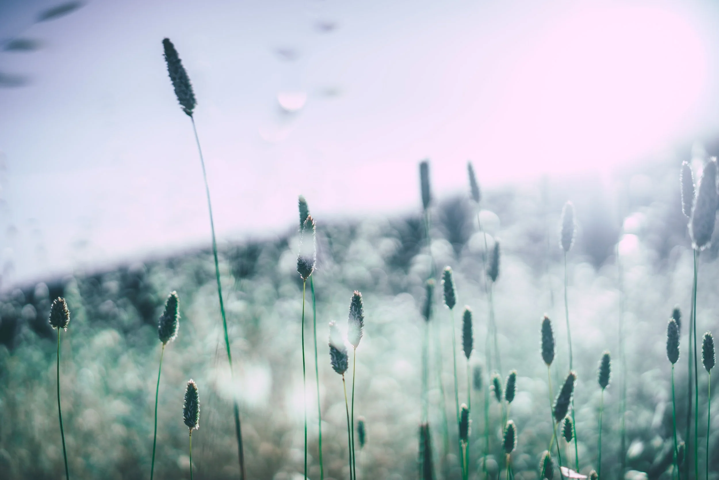 Winds of Change