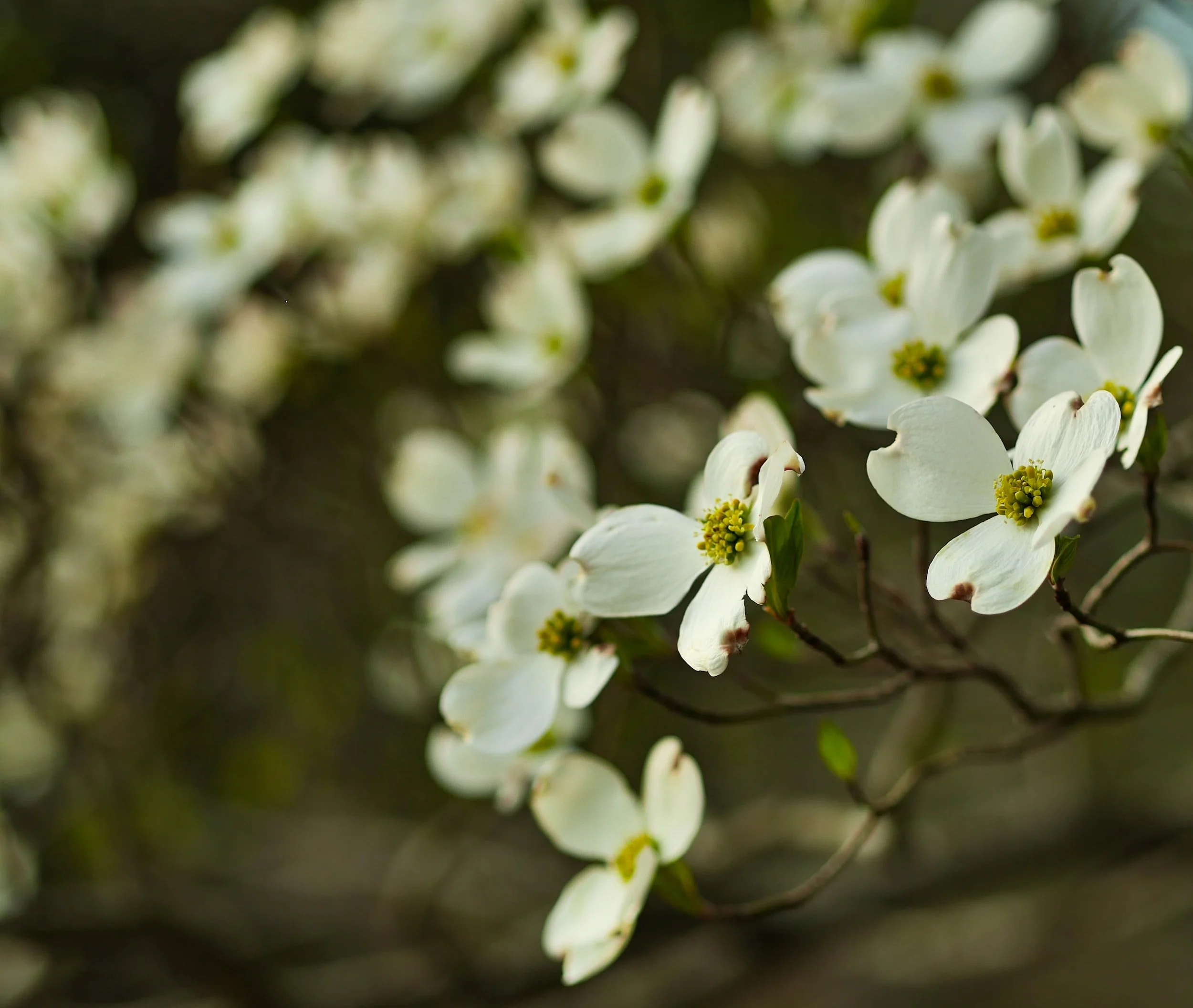 A Letter from Lindy April 2