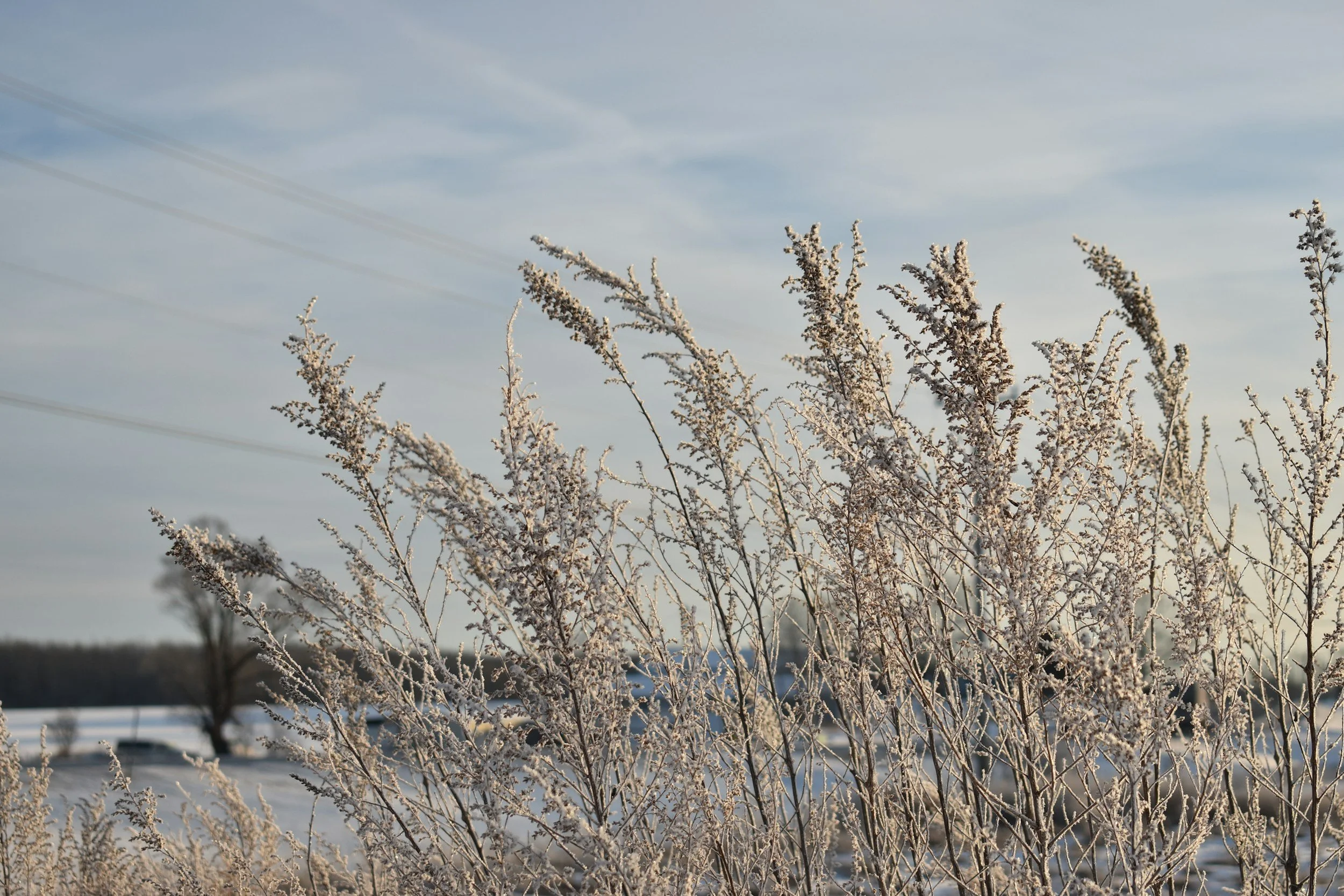 Worship Sunday, January 18