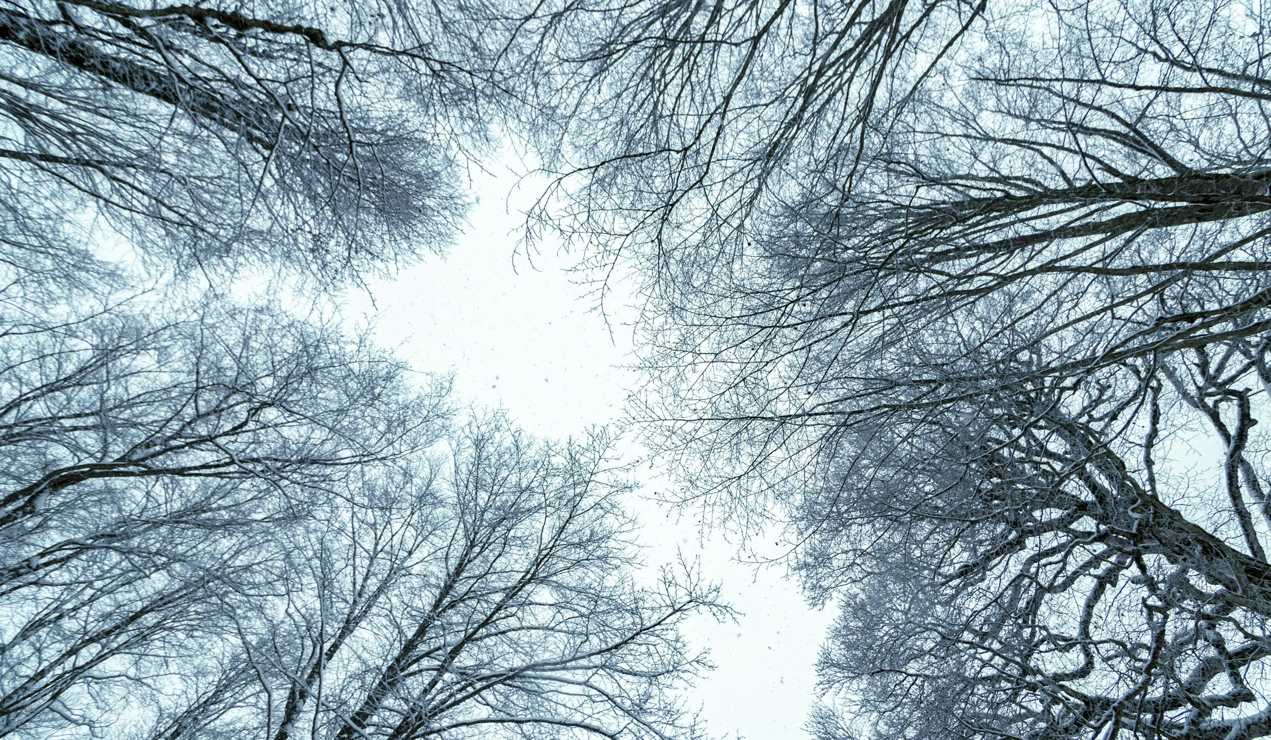 A Letter from Lindy Feb 8